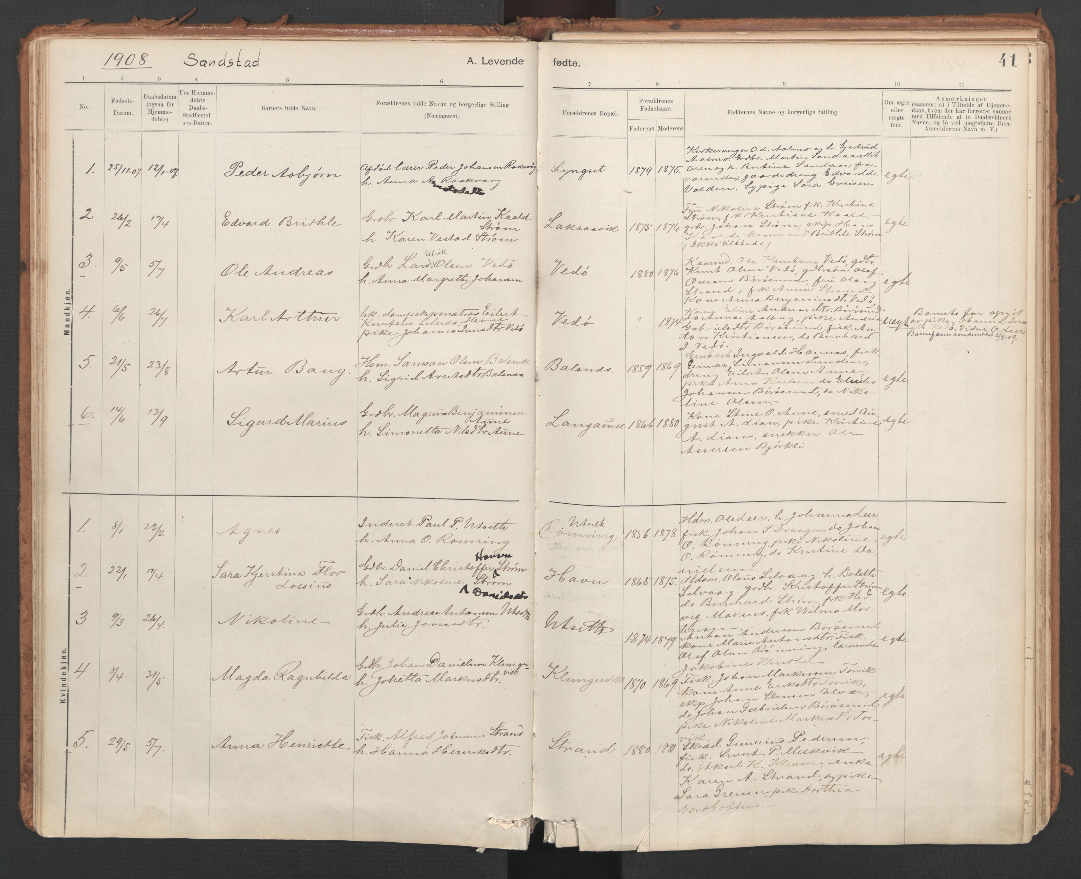 Ministerialprotokoller, klokkerbøker og fødselsregistre - Sør-Trøndelag, SAT/A-1456/639/L0572: Parish register (official) no. 639A01, 1890-1920, p. 41