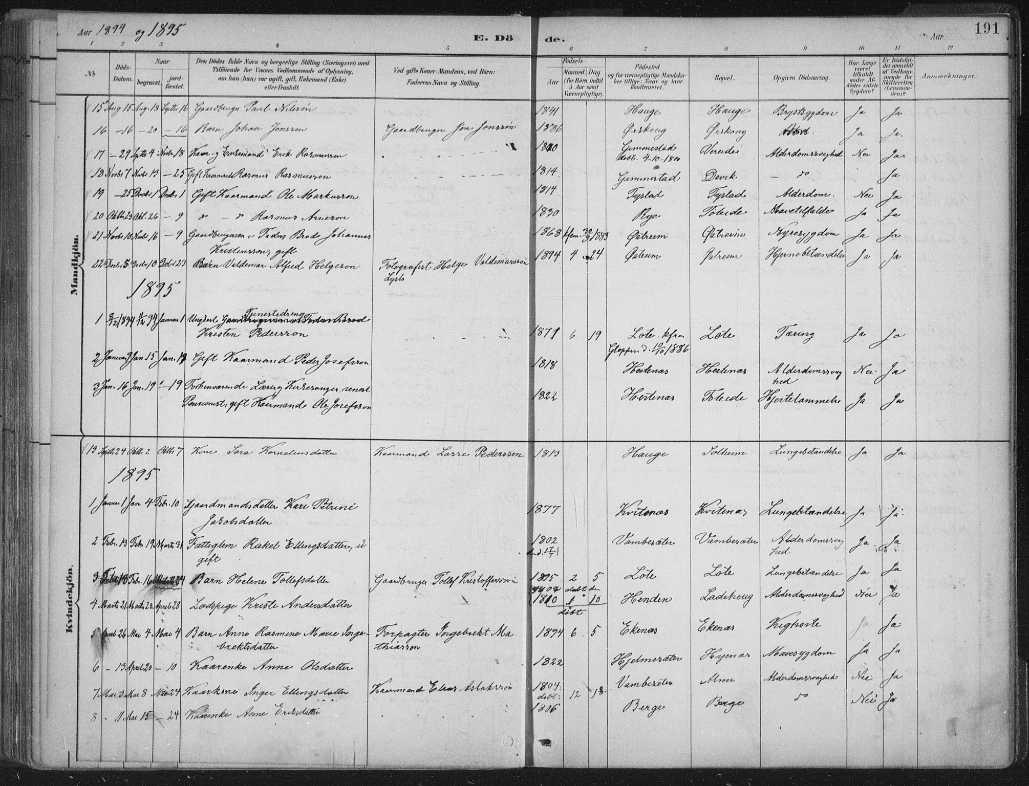 Gloppen sokneprestembete, AV/SAB-A-80101/H/Haa/Haab/L0001: Parish register (official) no. B  1, 1885-1905, p. 191