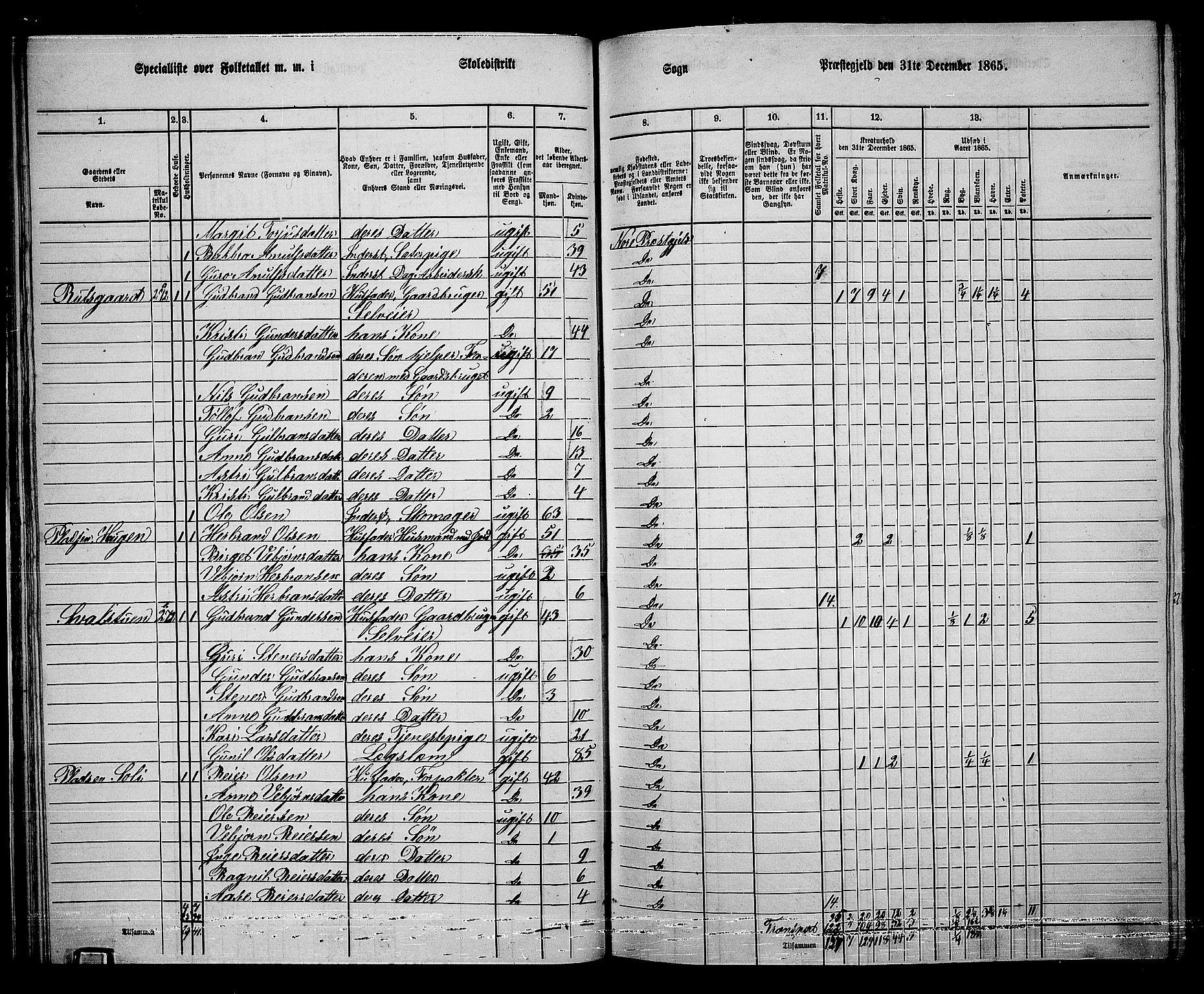 RA, 1865 census for Nore, 1865, p. 34