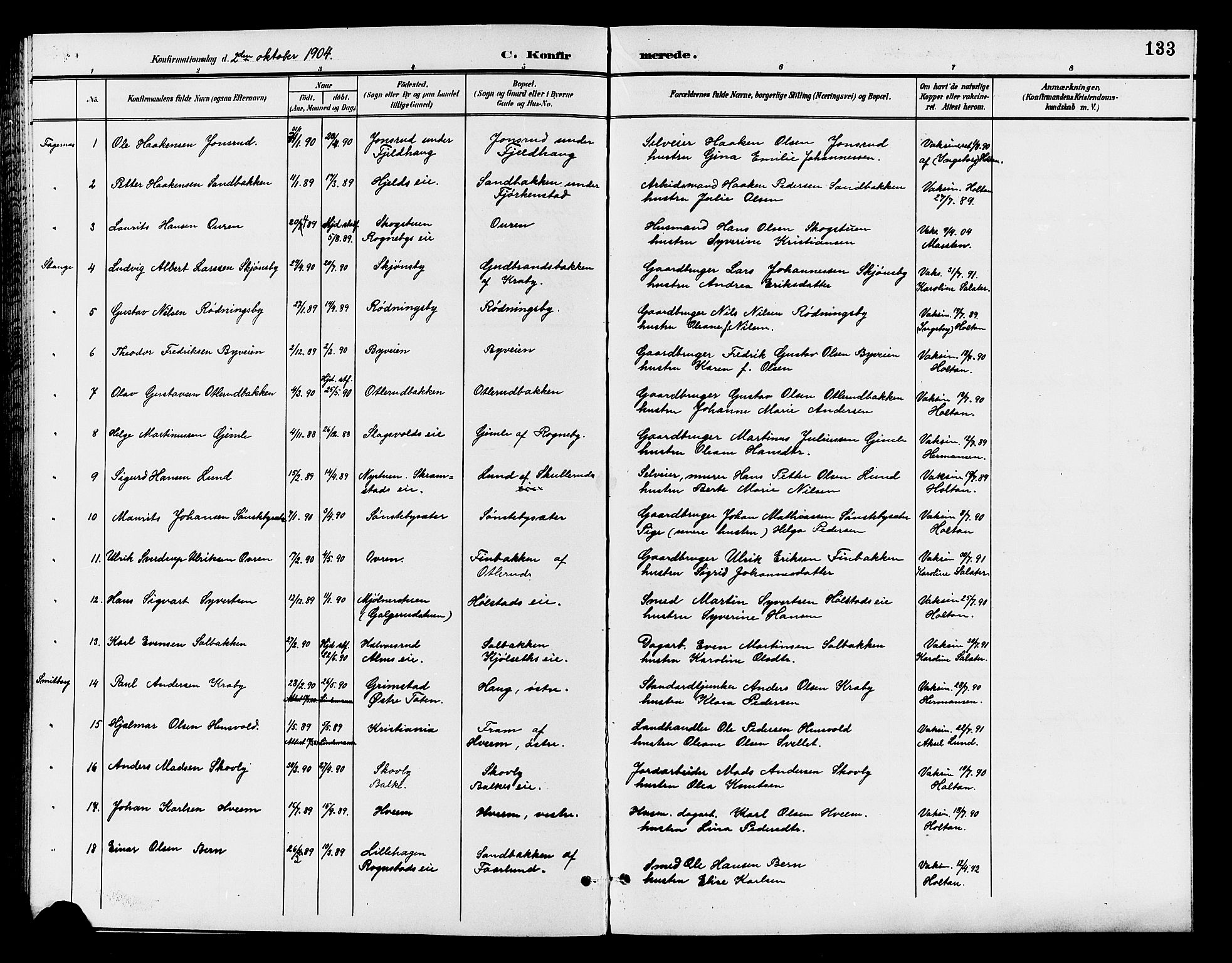 Østre Toten prestekontor, SAH/PREST-104/H/Ha/Hab/L0007: Parish register (copy) no. 7, 1901-1912, p. 133