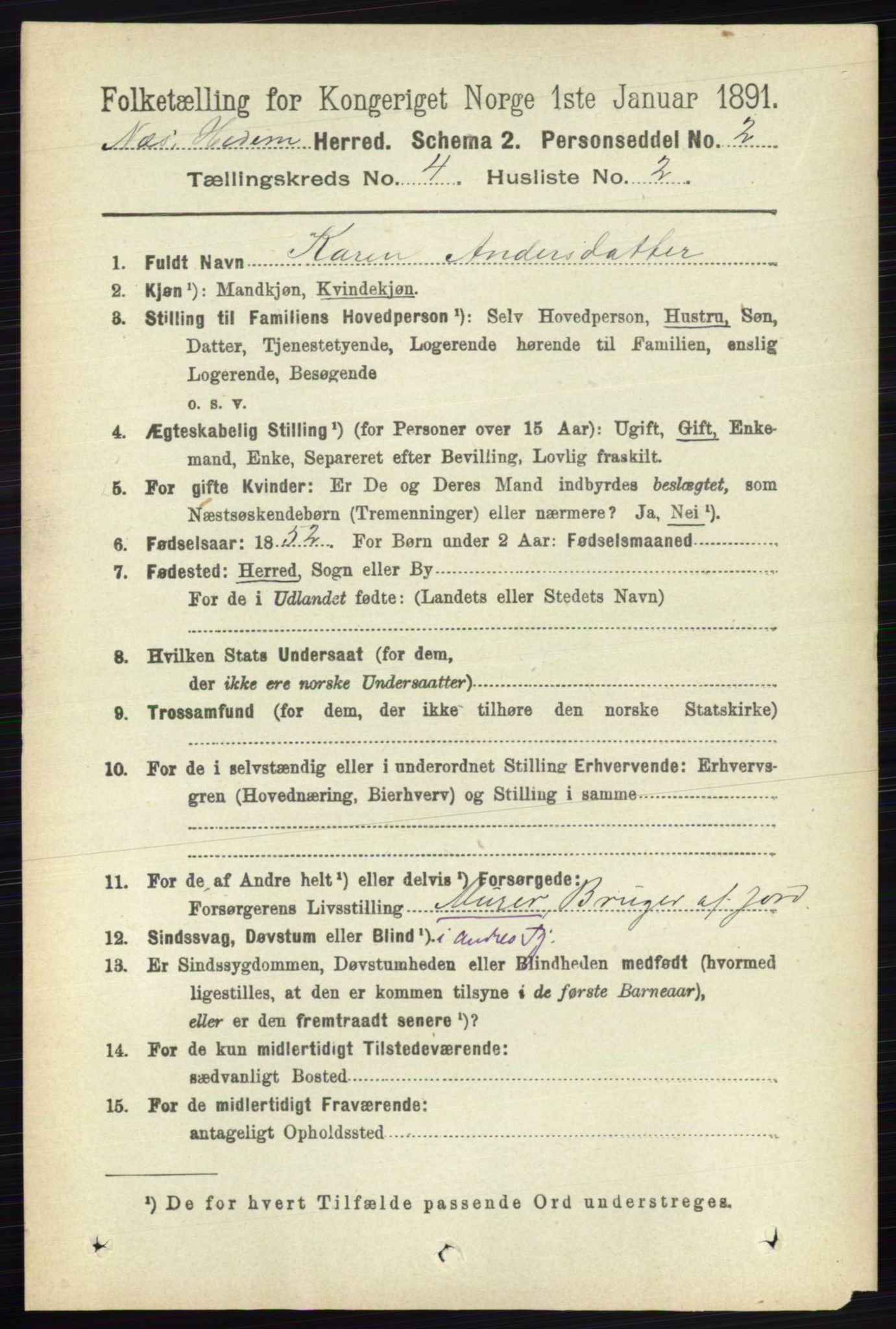 RA, 1891 census for 0411 Nes, 1891, p. 2049