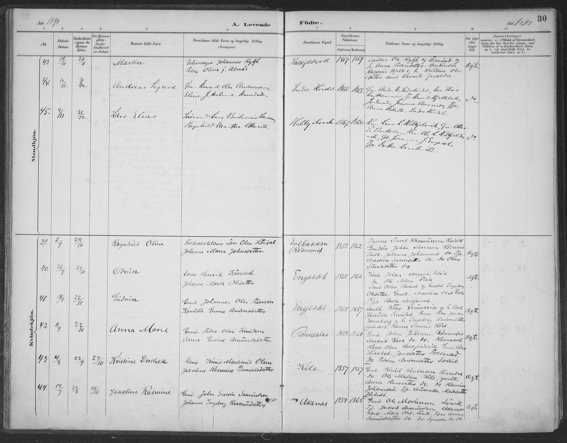 Ministerialprotokoller, klokkerbøker og fødselsregistre - Møre og Romsdal, AV/SAT-A-1454/511/L0142: Parish register (official) no. 511A09, 1891-1905, p. 30