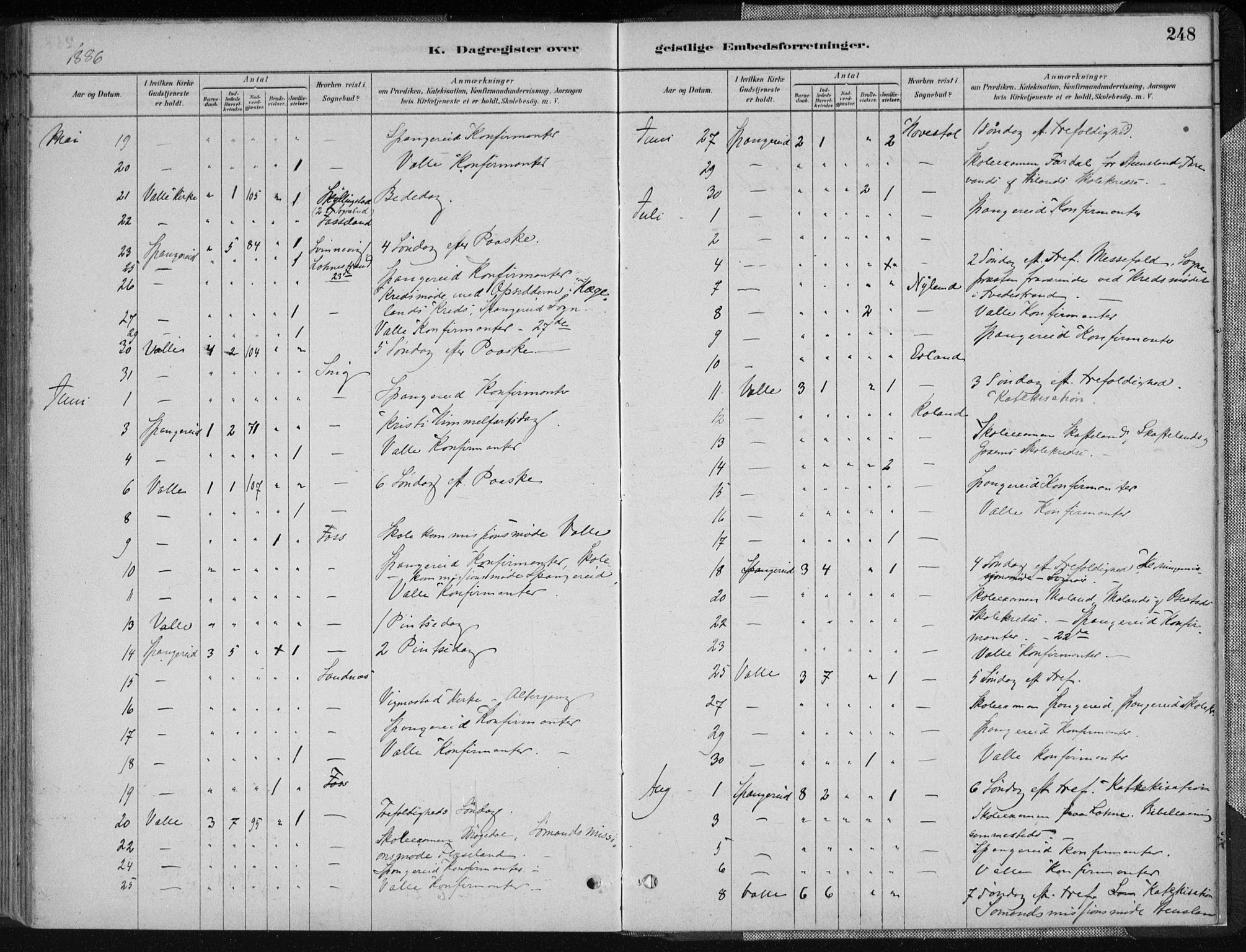 Sør-Audnedal sokneprestkontor, AV/SAK-1111-0039/F/Fa/Fab/L0009: Parish register (official) no. A 9, 1880-1895, p. 248