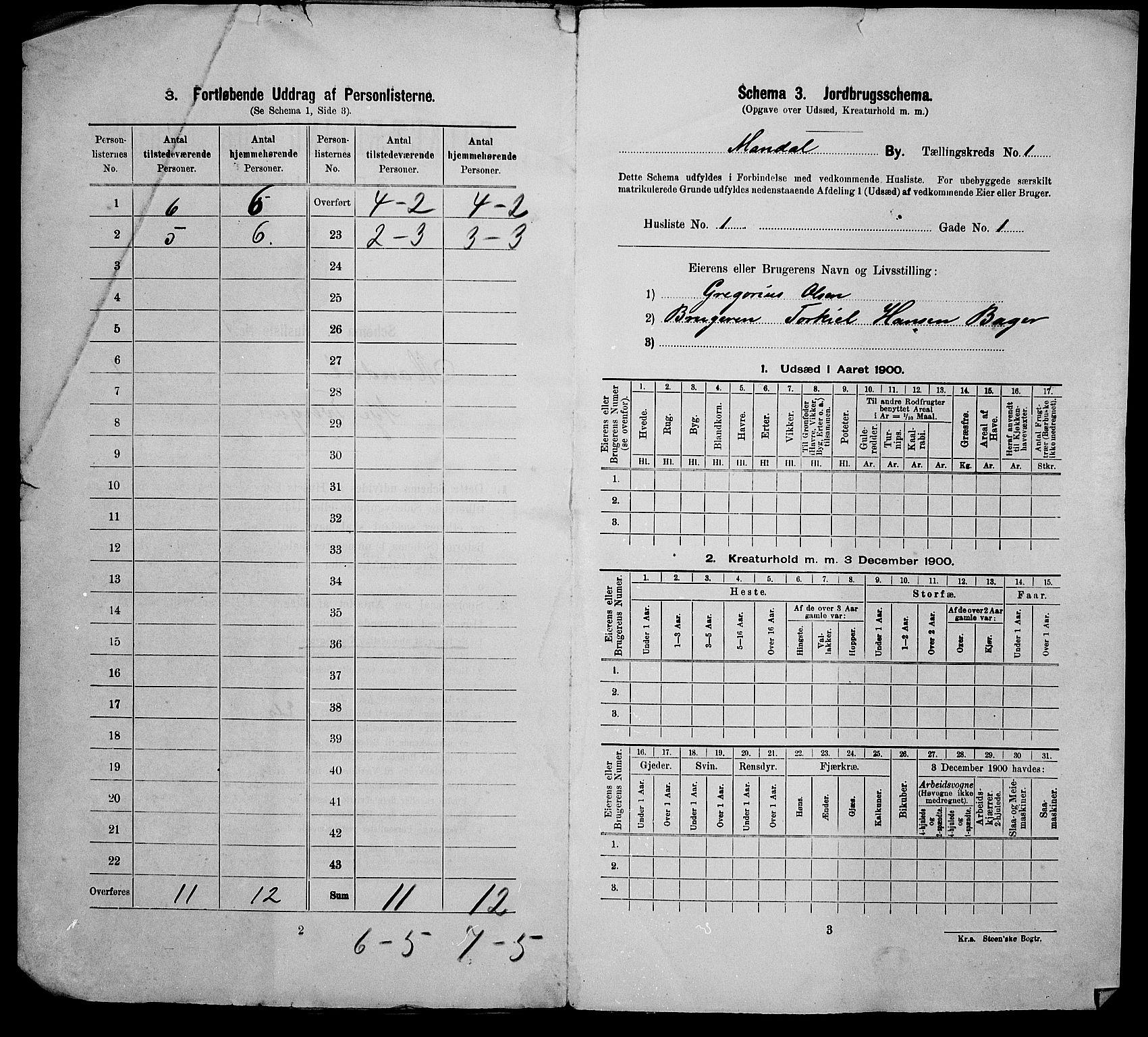 SAK, 1900 census for Mandal, 1900, p. 55