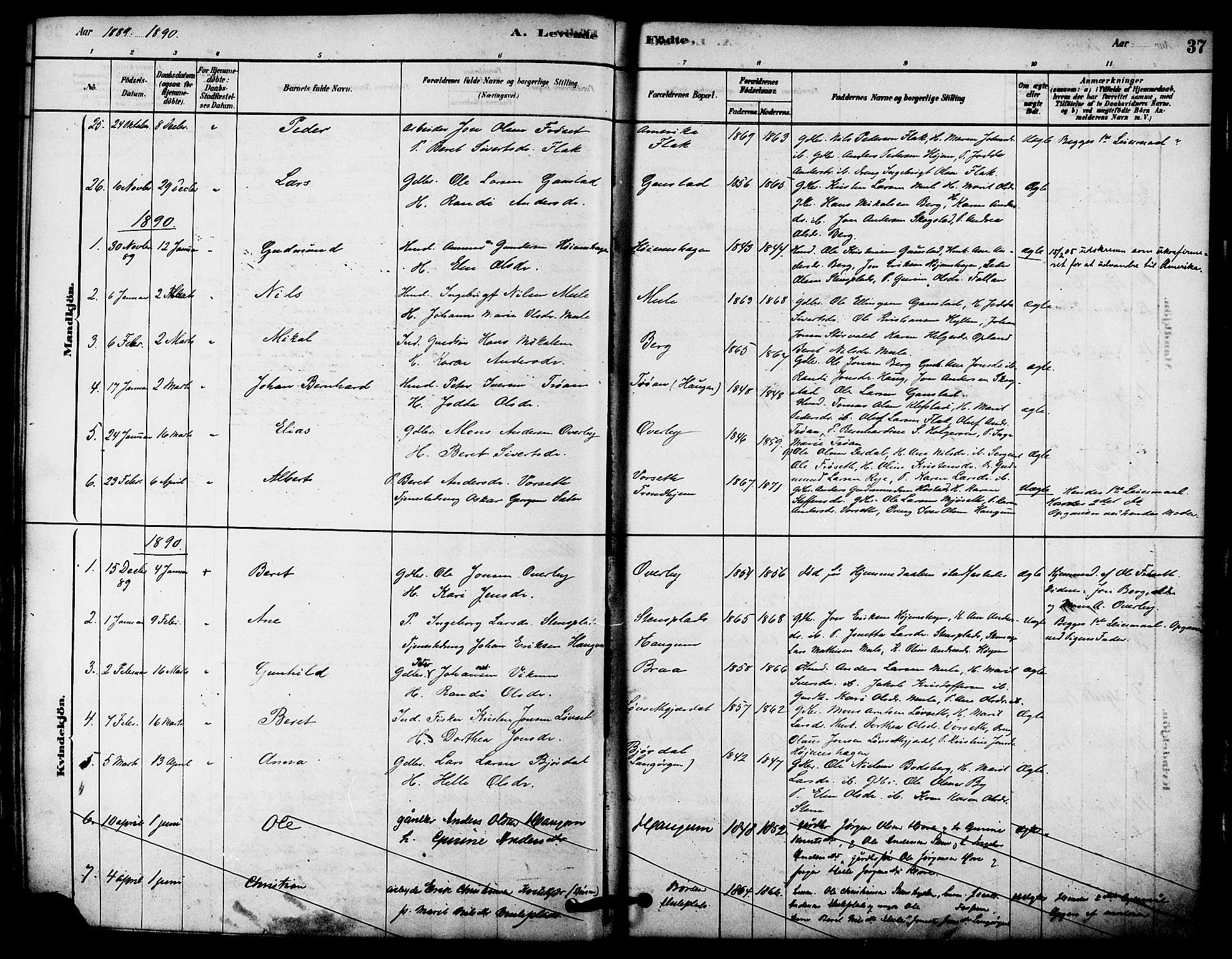 Ministerialprotokoller, klokkerbøker og fødselsregistre - Sør-Trøndelag, SAT/A-1456/612/L0378: Parish register (official) no. 612A10, 1878-1897, p. 37