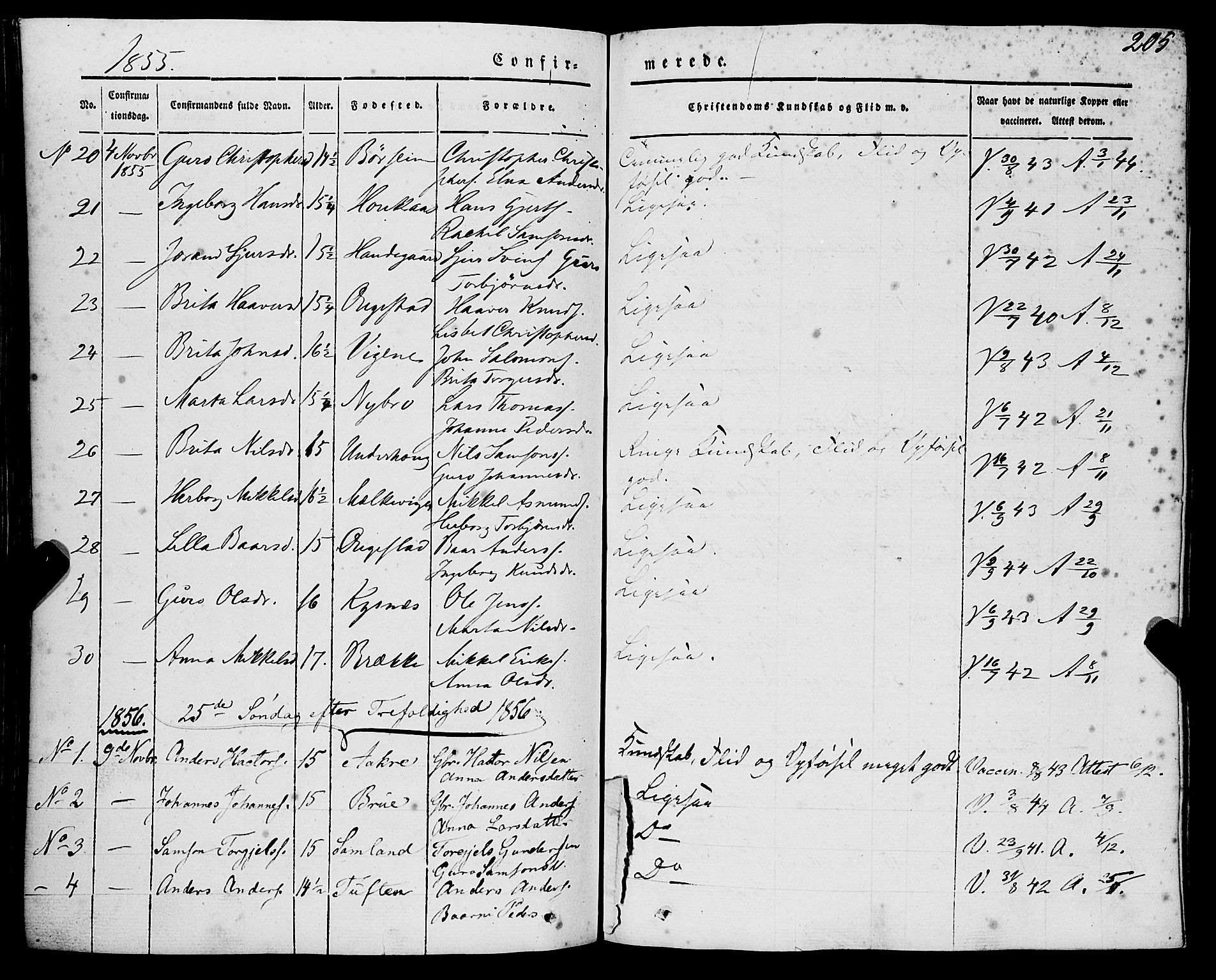 Strandebarm sokneprestembete, AV/SAB-A-78401/H/Haa: Parish register (official) no. A 7, 1844-1872, p. 205