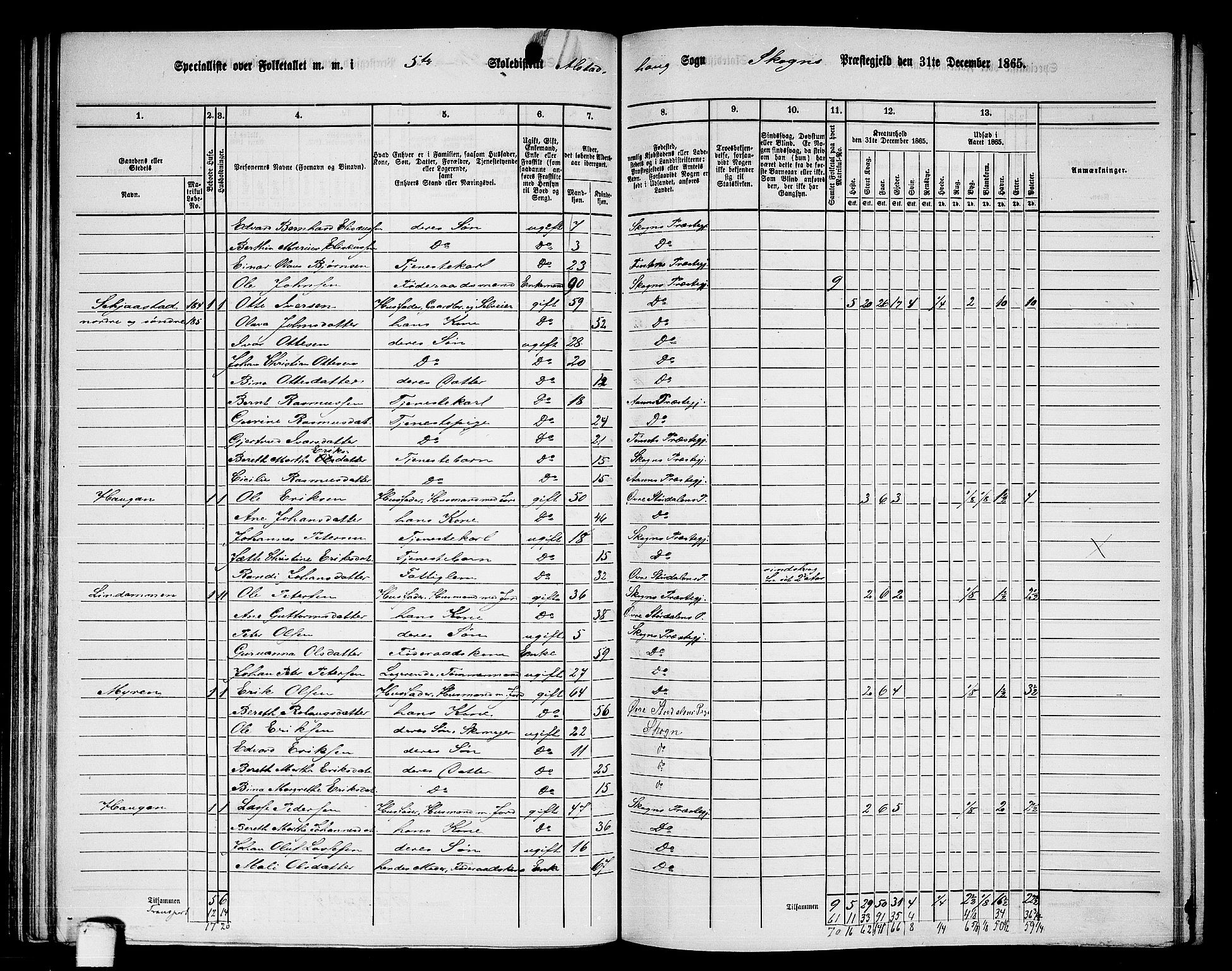 RA, 1865 census for Skogn, 1865, p. 119