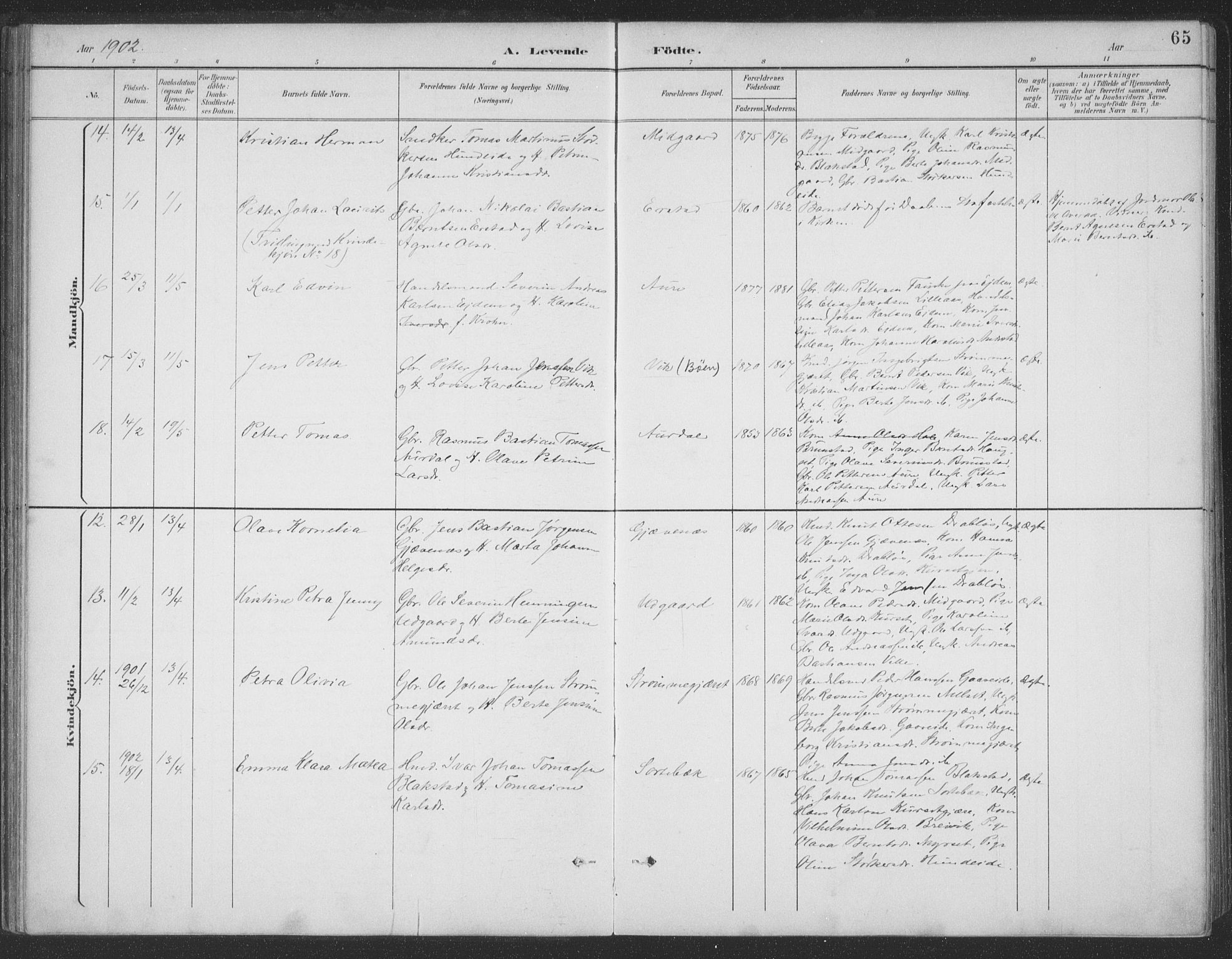 Ministerialprotokoller, klokkerbøker og fødselsregistre - Møre og Romsdal, AV/SAT-A-1454/523/L0335: Parish register (official) no. 523A02, 1891-1911, p. 65