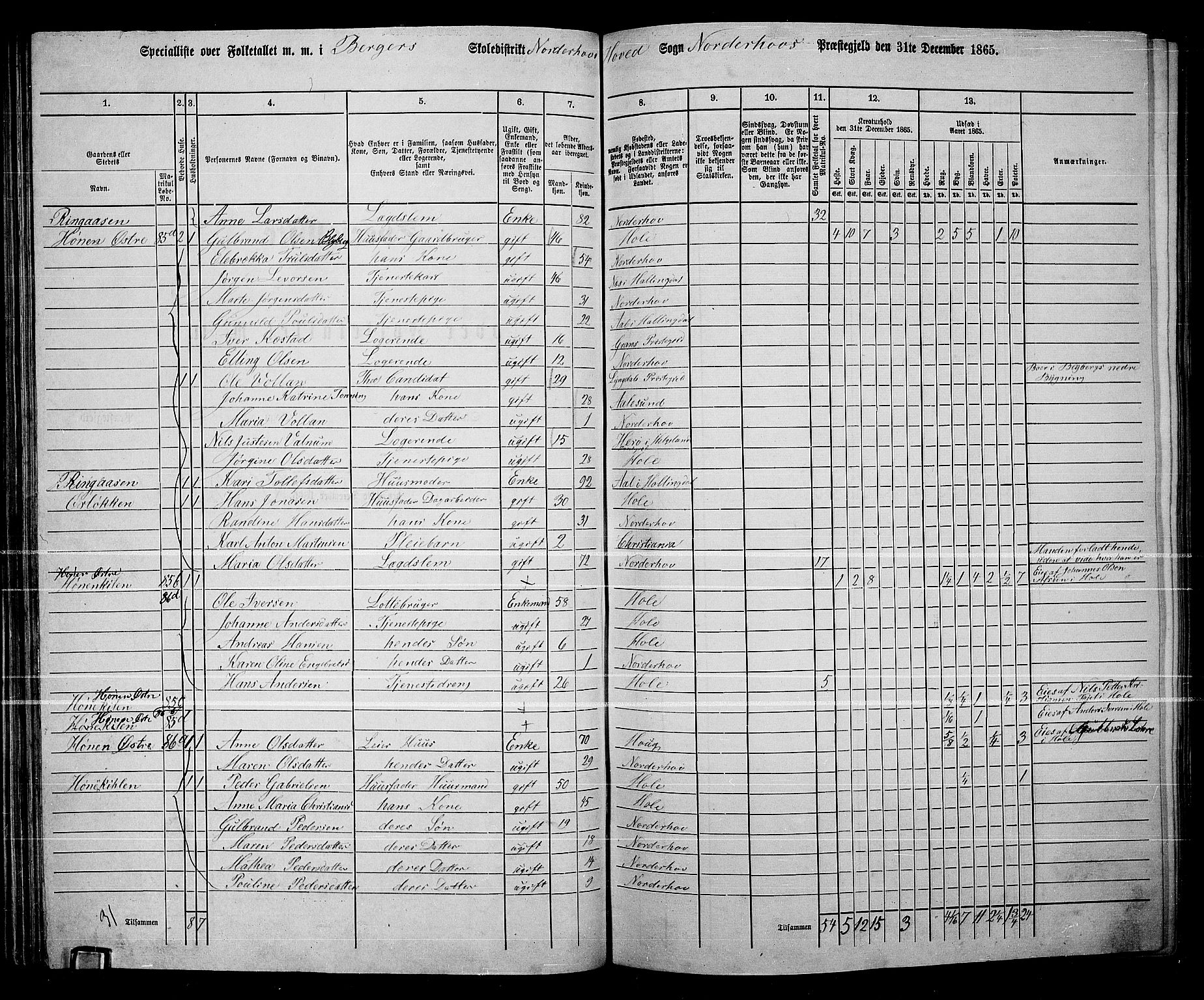 RA, 1865 census for Norderhov/Norderhov, Haug og Lunder, 1865, p. 86