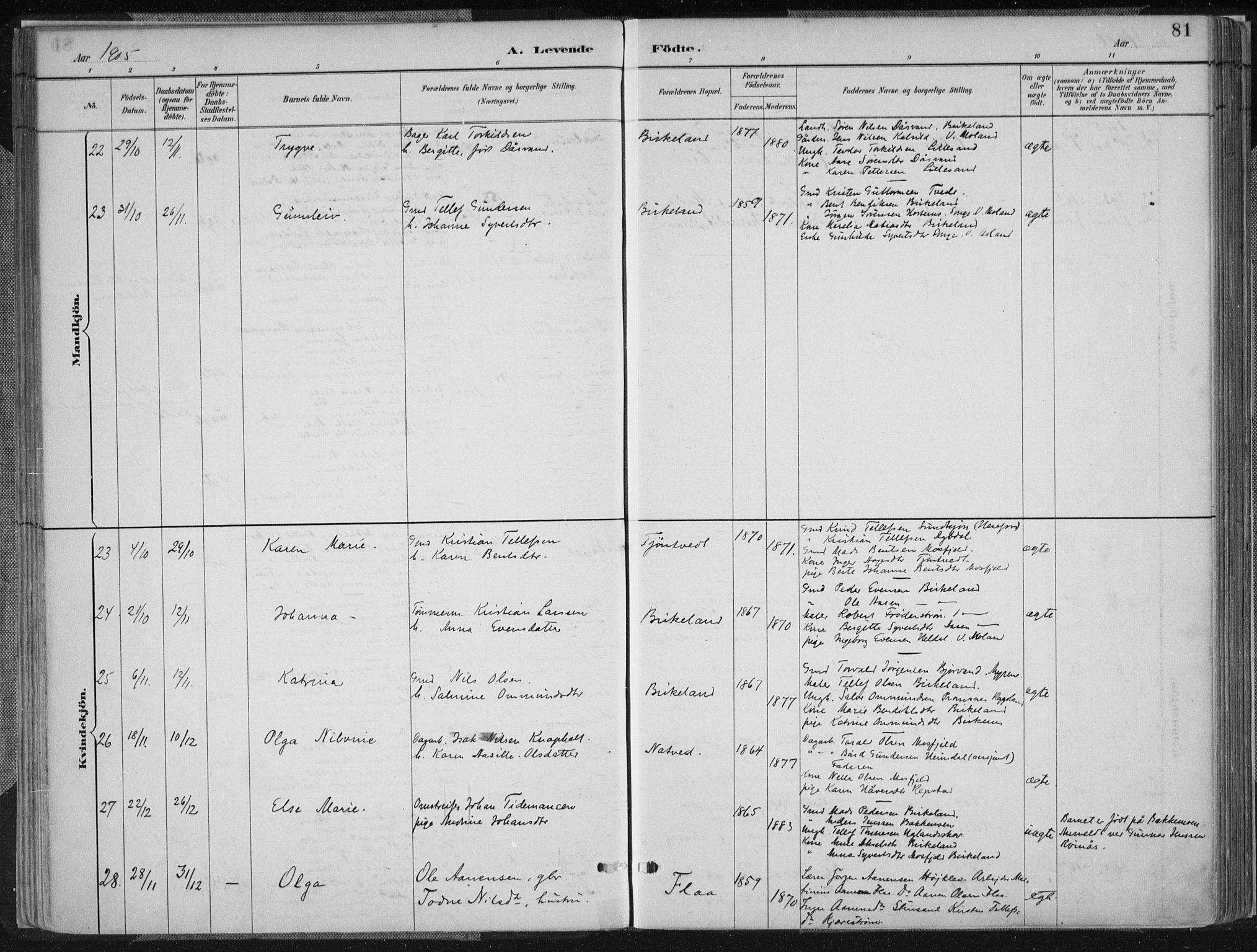 Birkenes sokneprestkontor, SAK/1111-0004/F/Fa/L0005: Parish register (official) no. A 5, 1887-1907, p. 81
