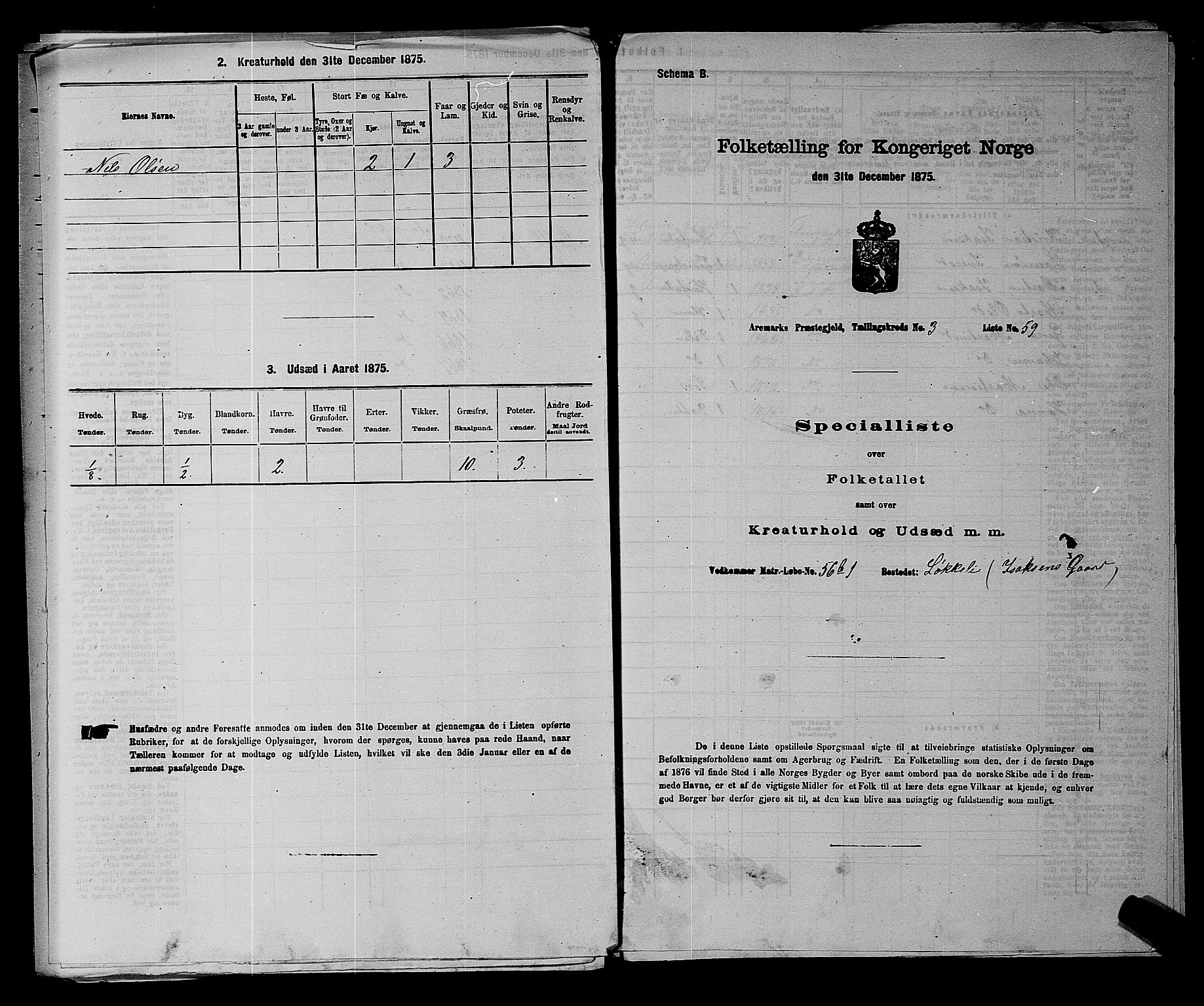 RA, 1875 census for 0118P Aremark, 1875, p. 494