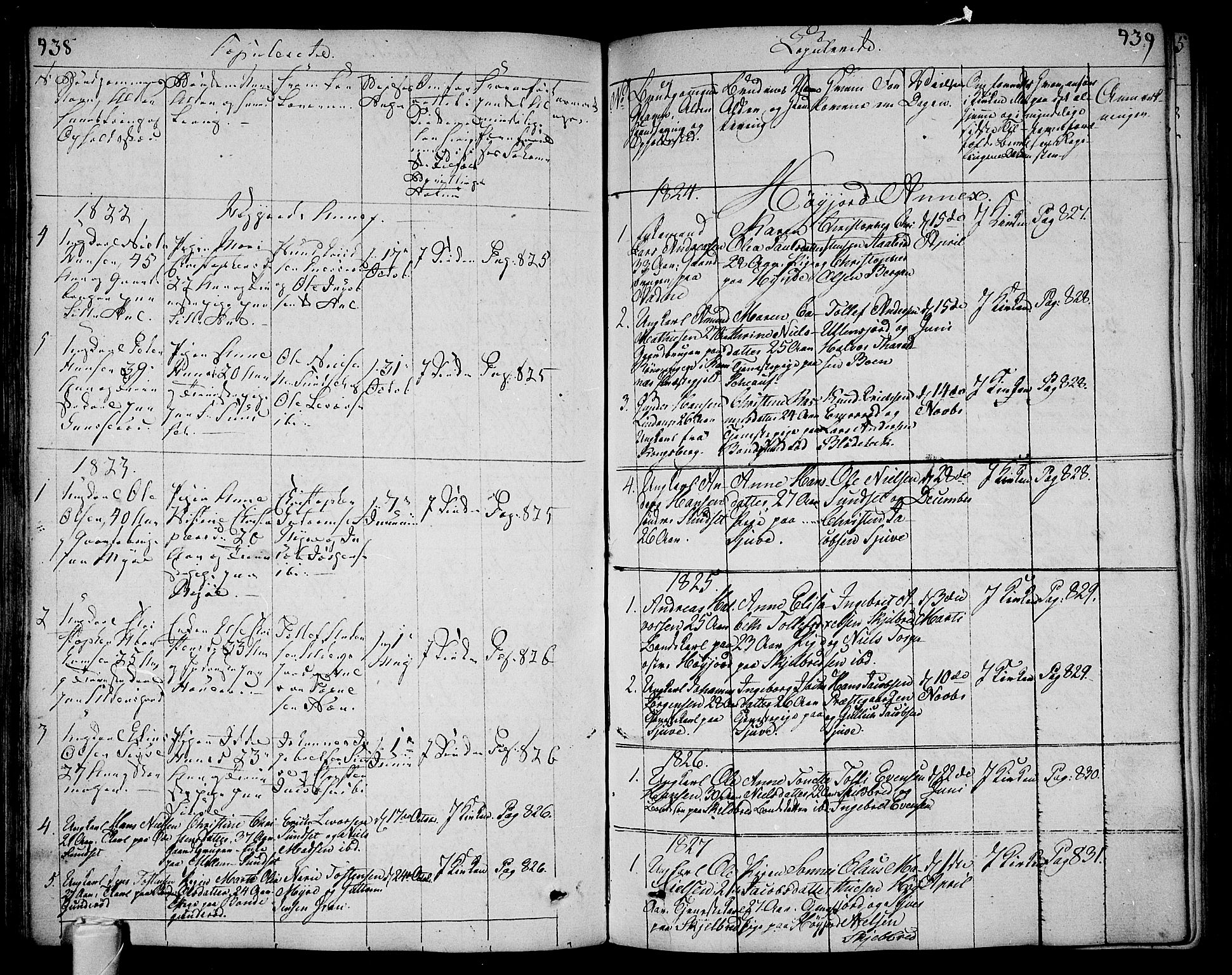 Andebu kirkebøker, AV/SAKO-A-336/F/Fa/L0003: Parish register (official) no. I 3 /2, 1815-1828, p. 438-439
