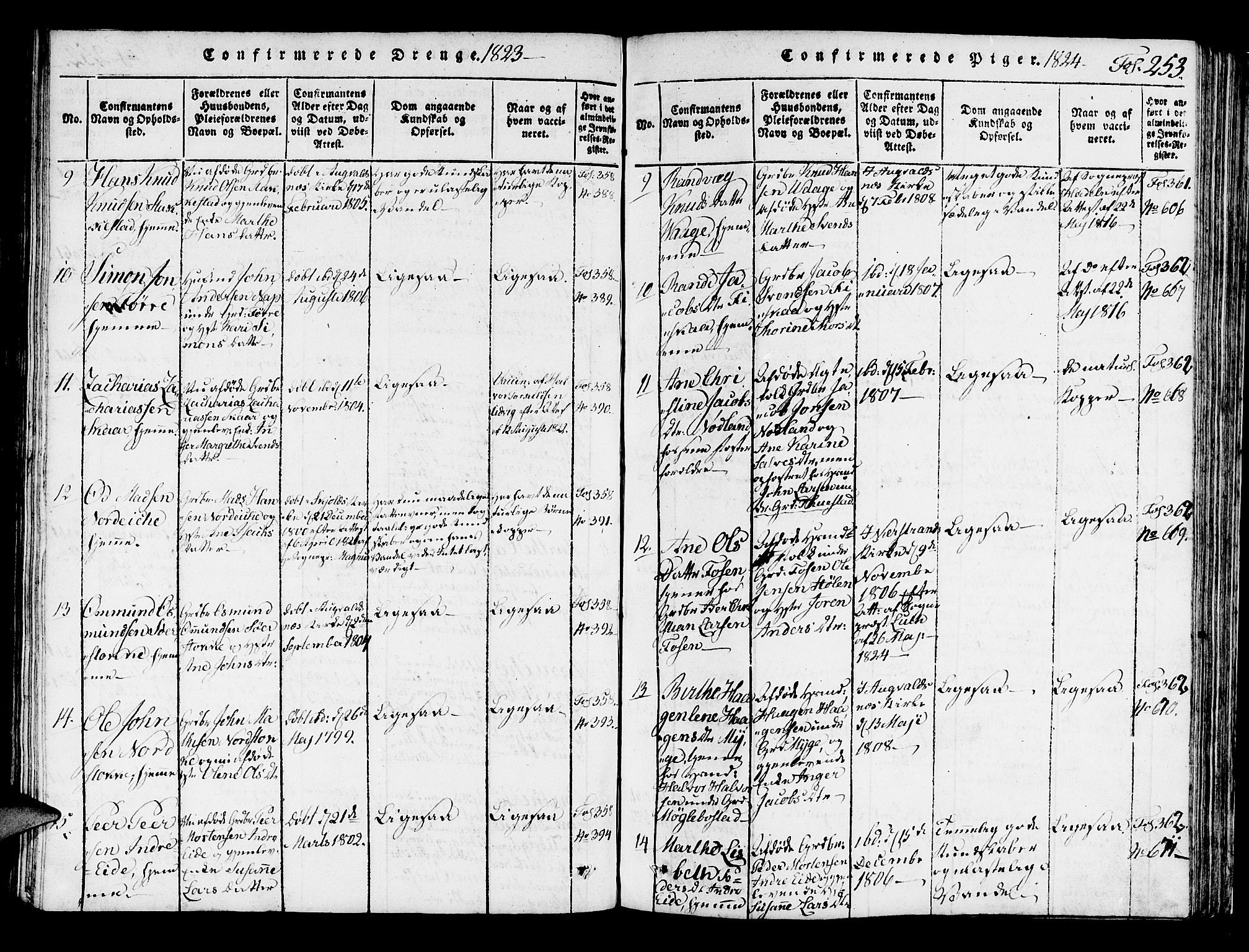 Avaldsnes sokneprestkontor, AV/SAST-A -101851/H/Ha/Haa/L0004: Parish register (official) no. A 4, 1816-1825, p. 253