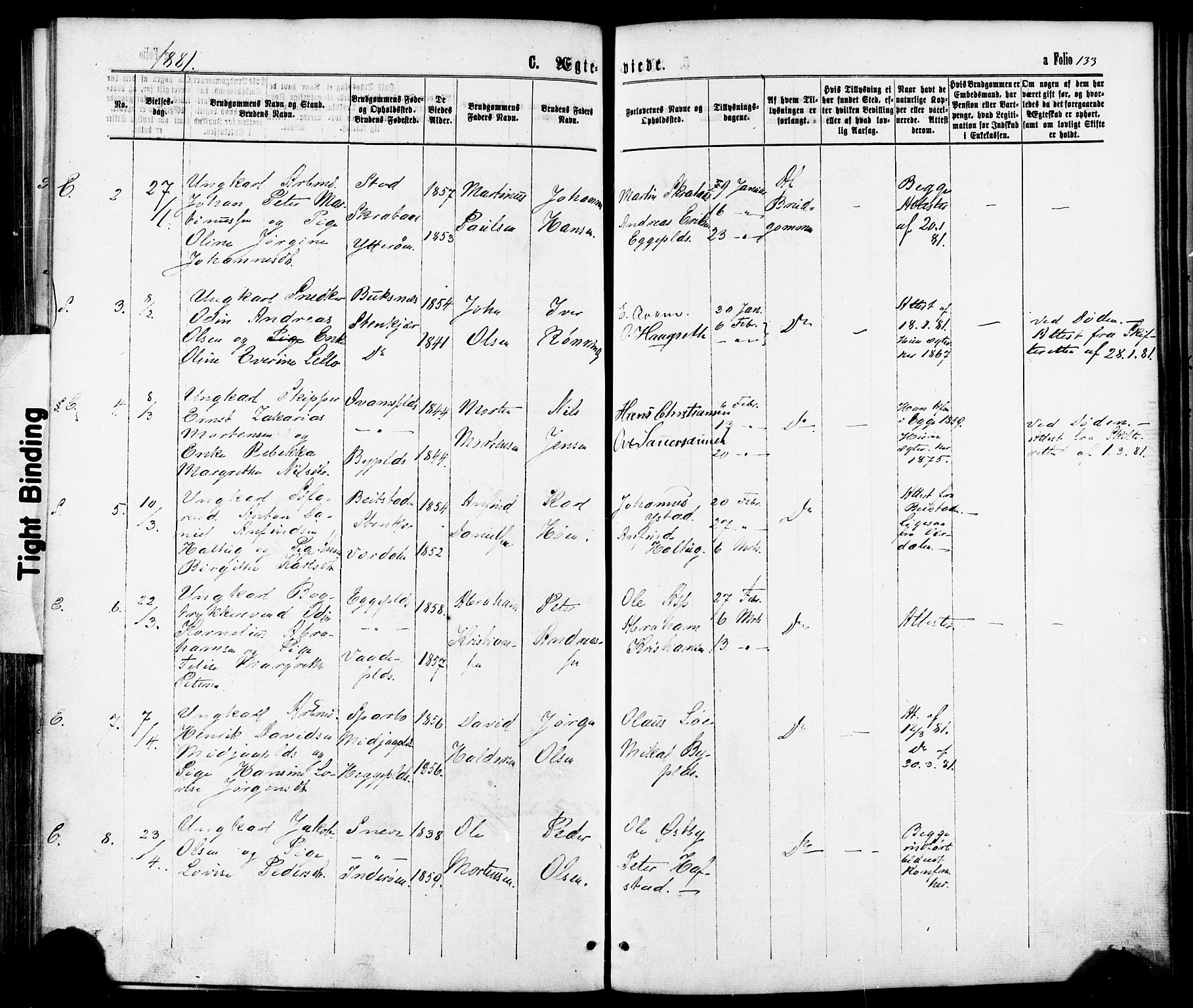 Ministerialprotokoller, klokkerbøker og fødselsregistre - Nord-Trøndelag, SAT/A-1458/739/L0370: Parish register (official) no. 739A02, 1868-1881, p. 133