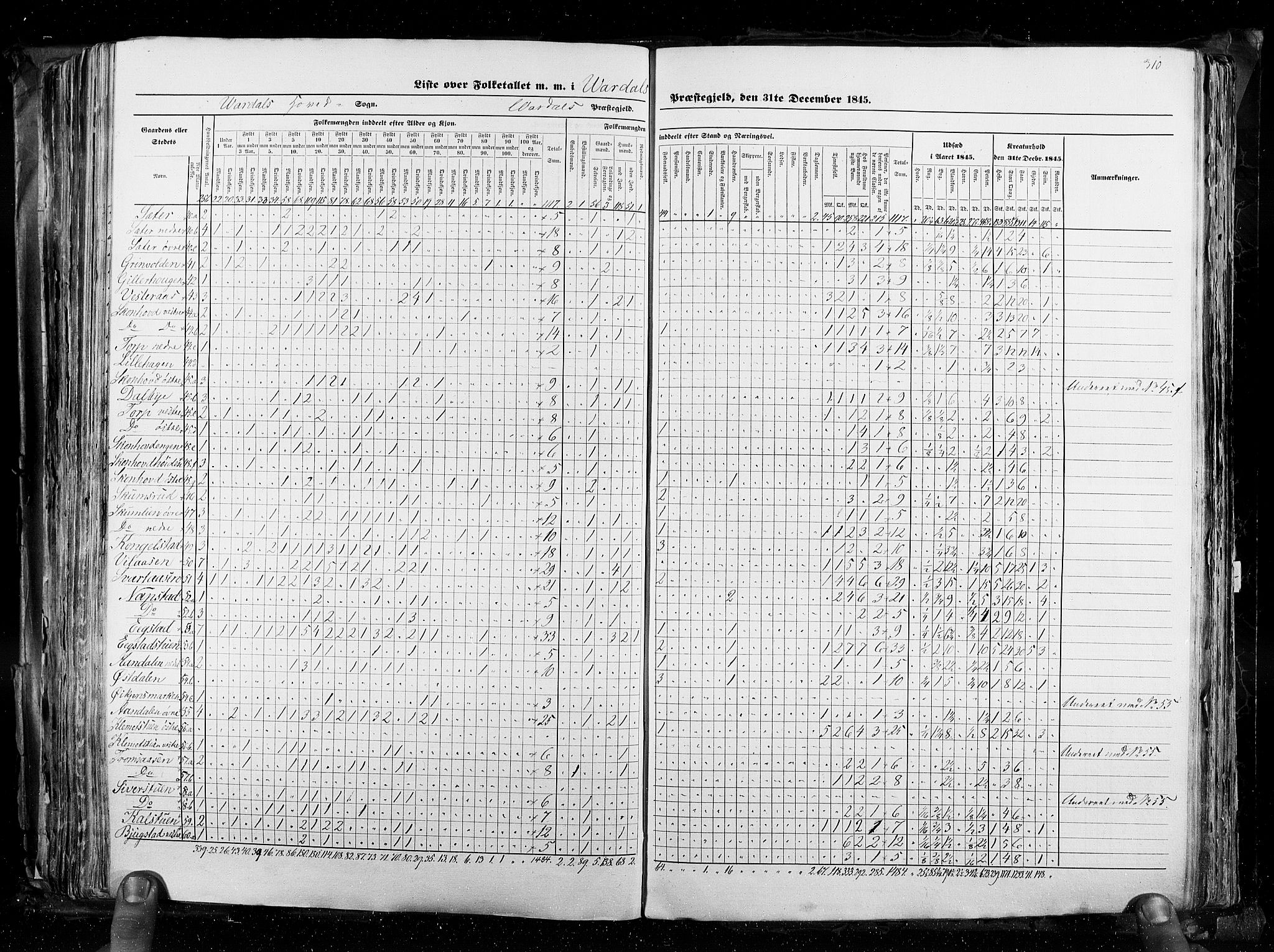 RA, Census 1845, vol. 3: Hedemarken amt og Kristians amt, 1845, p. 310