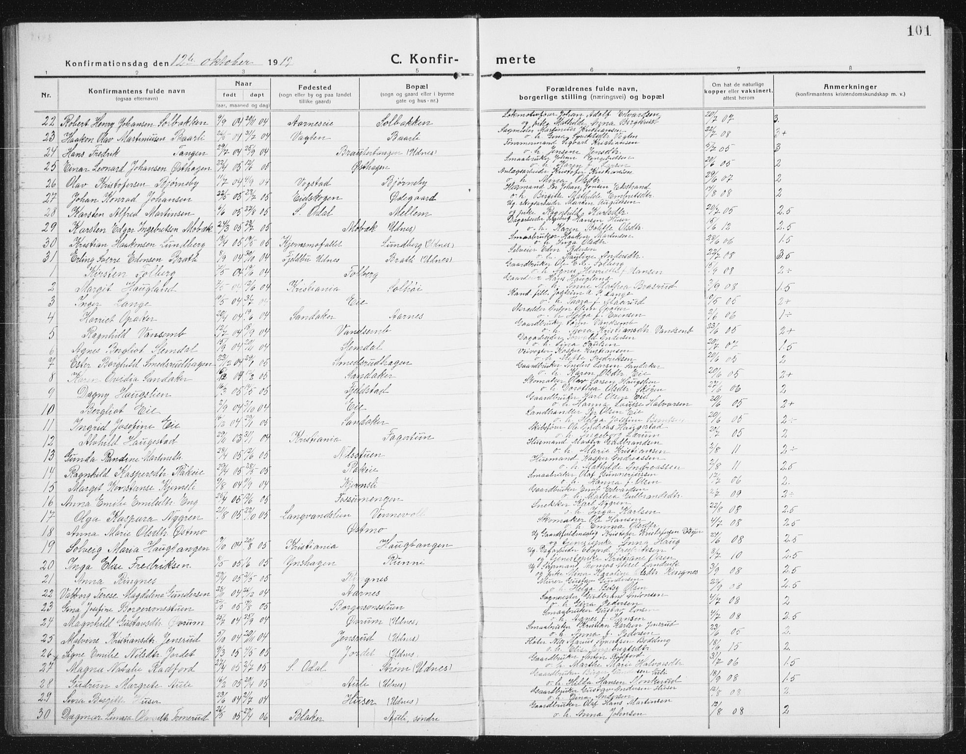 Nes prestekontor Kirkebøker, AV/SAO-A-10410/G/Gc/L0002: Parish register (copy) no. III 2, 1915-1943, p. 101