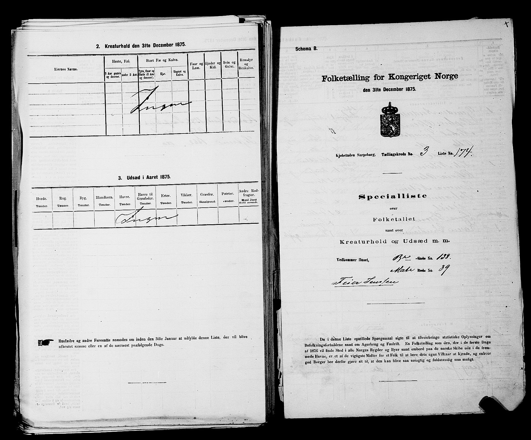 RA, 1875 census for 0102P Sarpsborg, 1875, p. 407