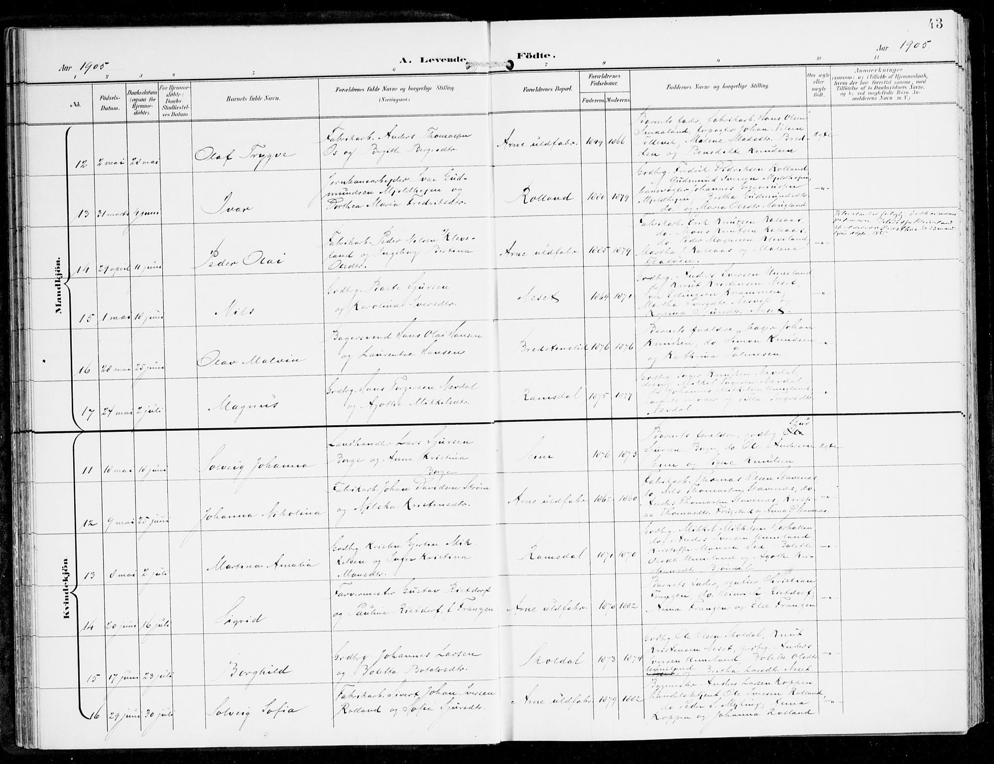 Haus sokneprestembete, AV/SAB-A-75601/H/Haa: Parish register (official) no. D 2, 1899-1912, p. 43