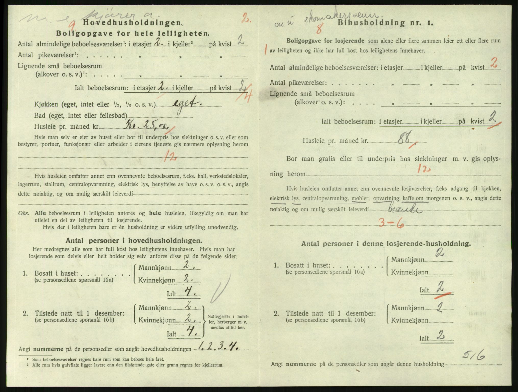 SAKO, 1920 census for Larvik, 1920, p. 4867