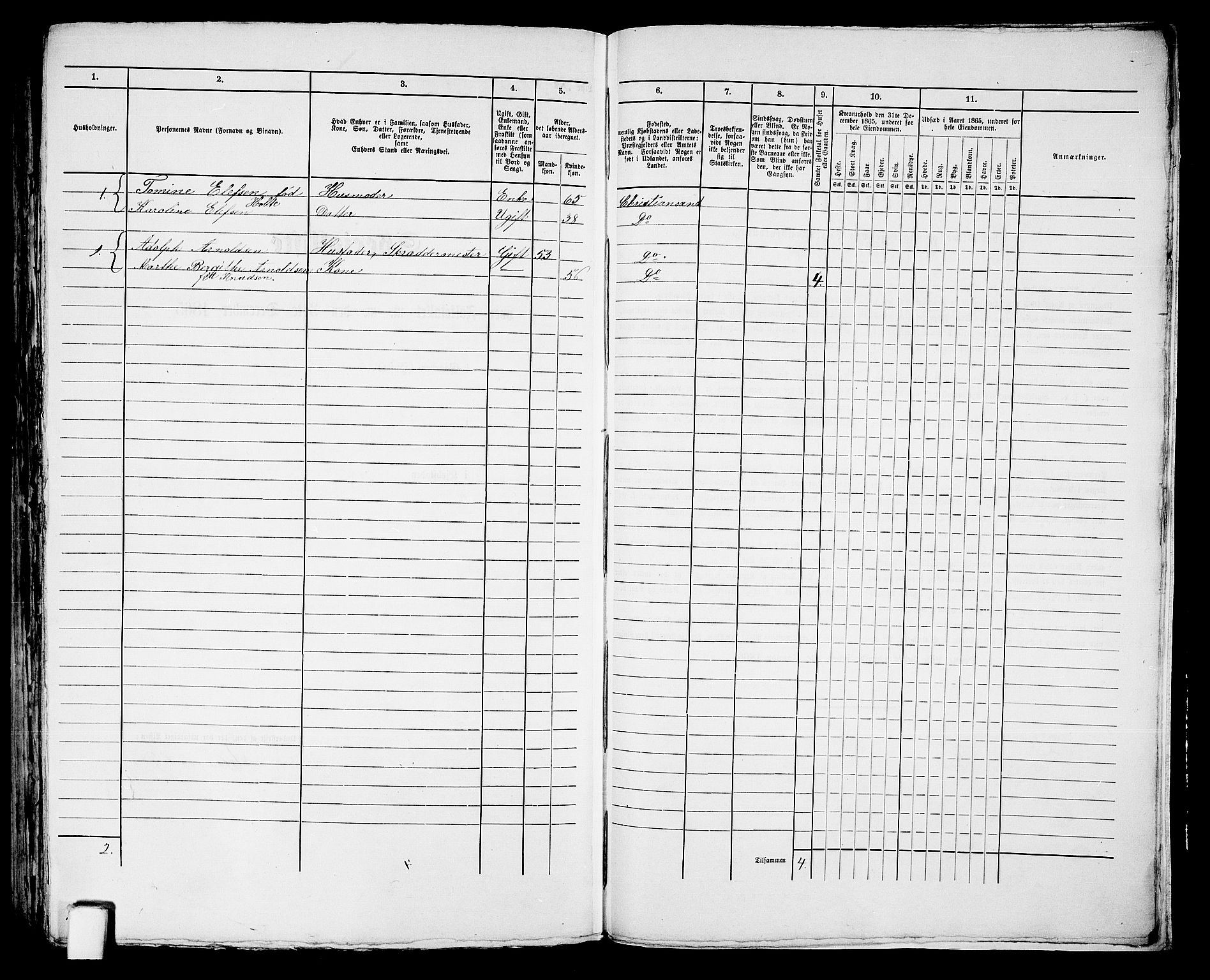 RA, 1865 census for Kristiansand, 1865, p. 1530