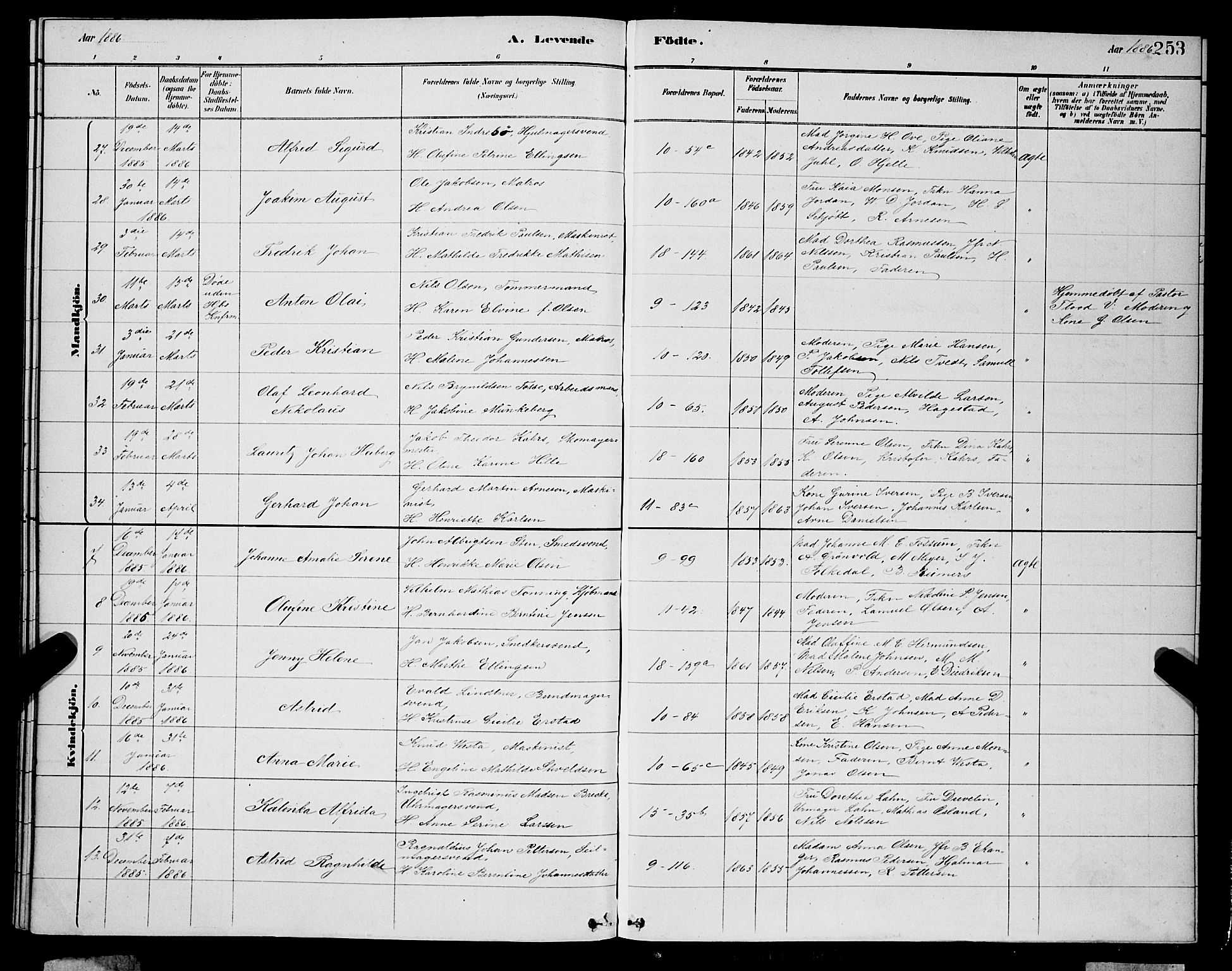 Domkirken sokneprestembete, AV/SAB-A-74801/H/Hab/L0015: Parish register (copy) no. B 8, 1879-1887, p. 253