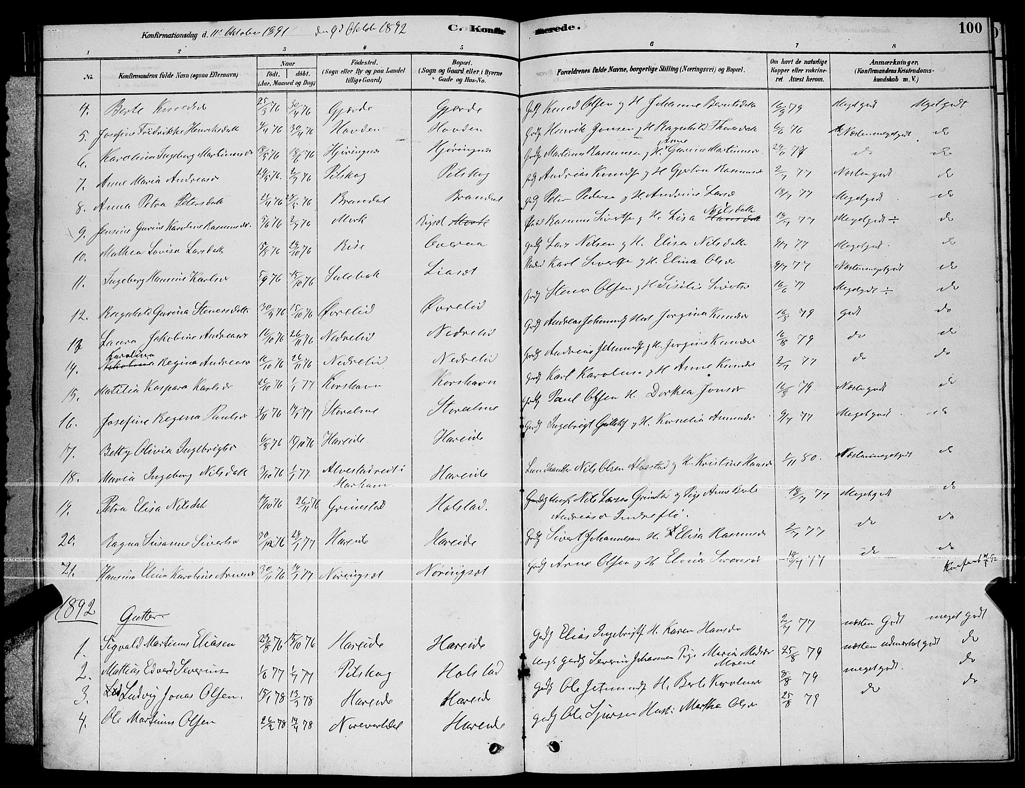 Ministerialprotokoller, klokkerbøker og fødselsregistre - Møre og Romsdal, AV/SAT-A-1454/510/L0125: Parish register (copy) no. 510C02, 1878-1900, p. 100