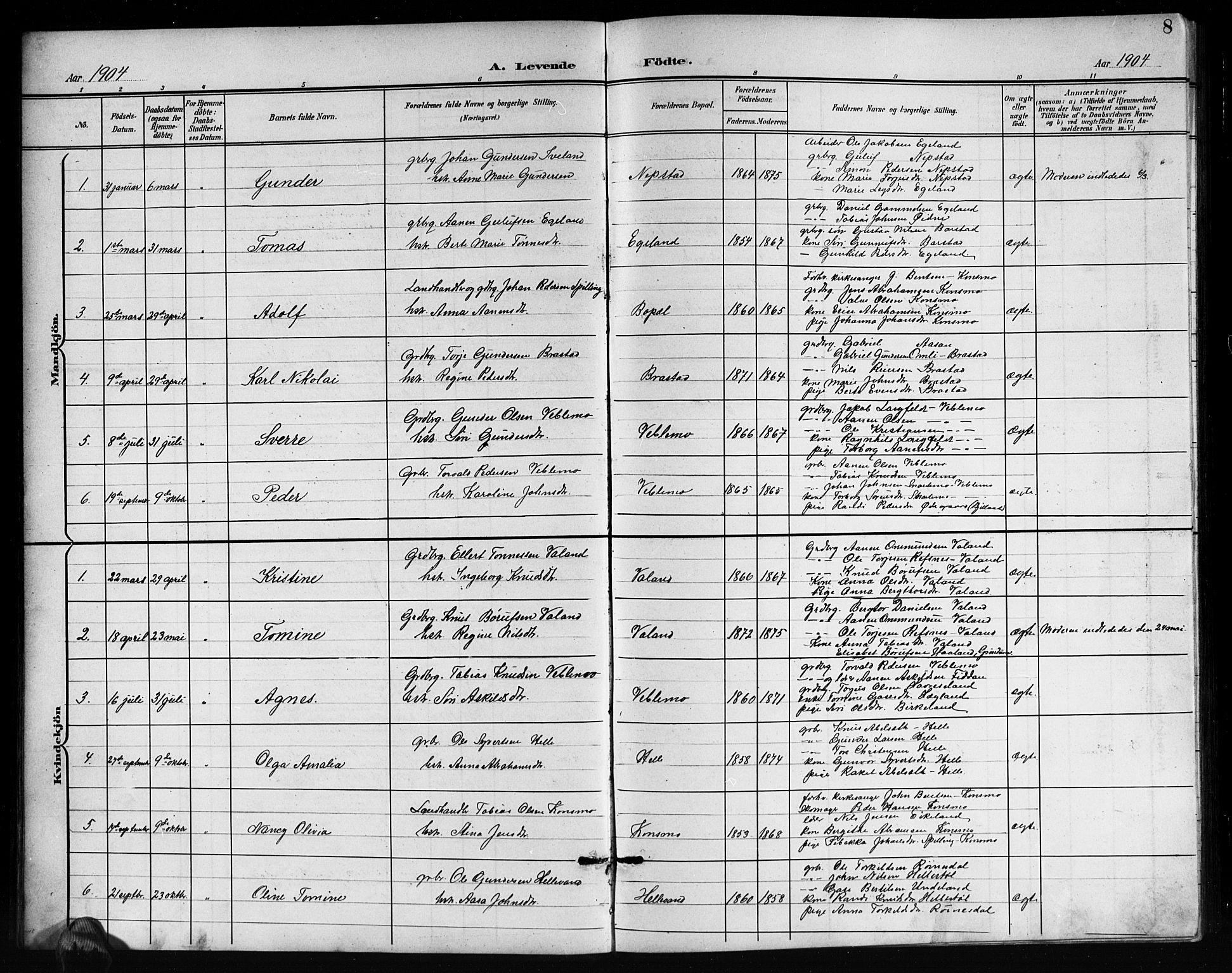 Nord-Audnedal sokneprestkontor, AV/SAK-1111-0032/F/Fb/Fba/L0004: Parish register (copy) no. B 4, 1901-1917, p. 8