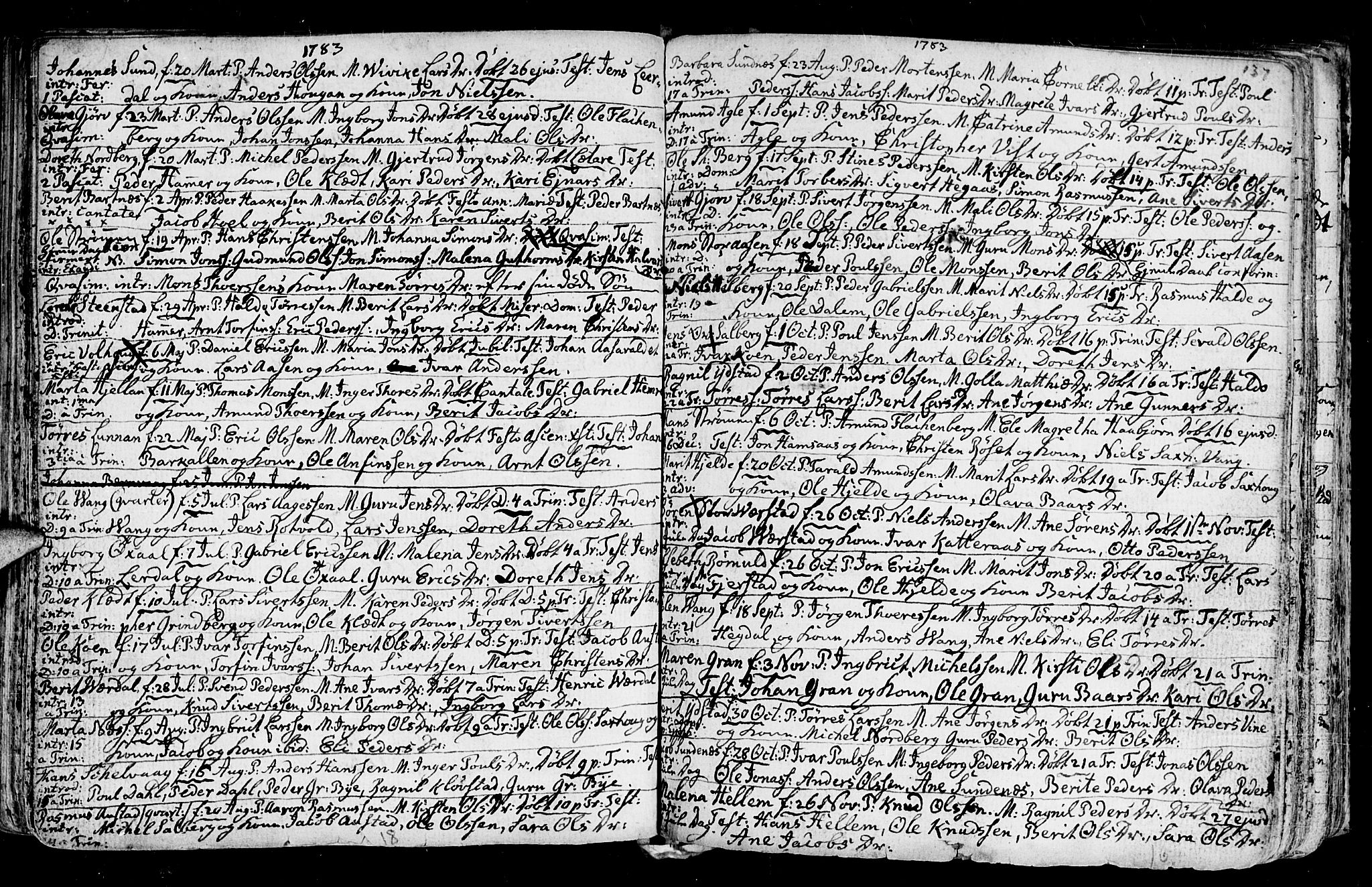 Ministerialprotokoller, klokkerbøker og fødselsregistre - Nord-Trøndelag, AV/SAT-A-1458/730/L0273: Parish register (official) no. 730A02, 1762-1802, p. 137