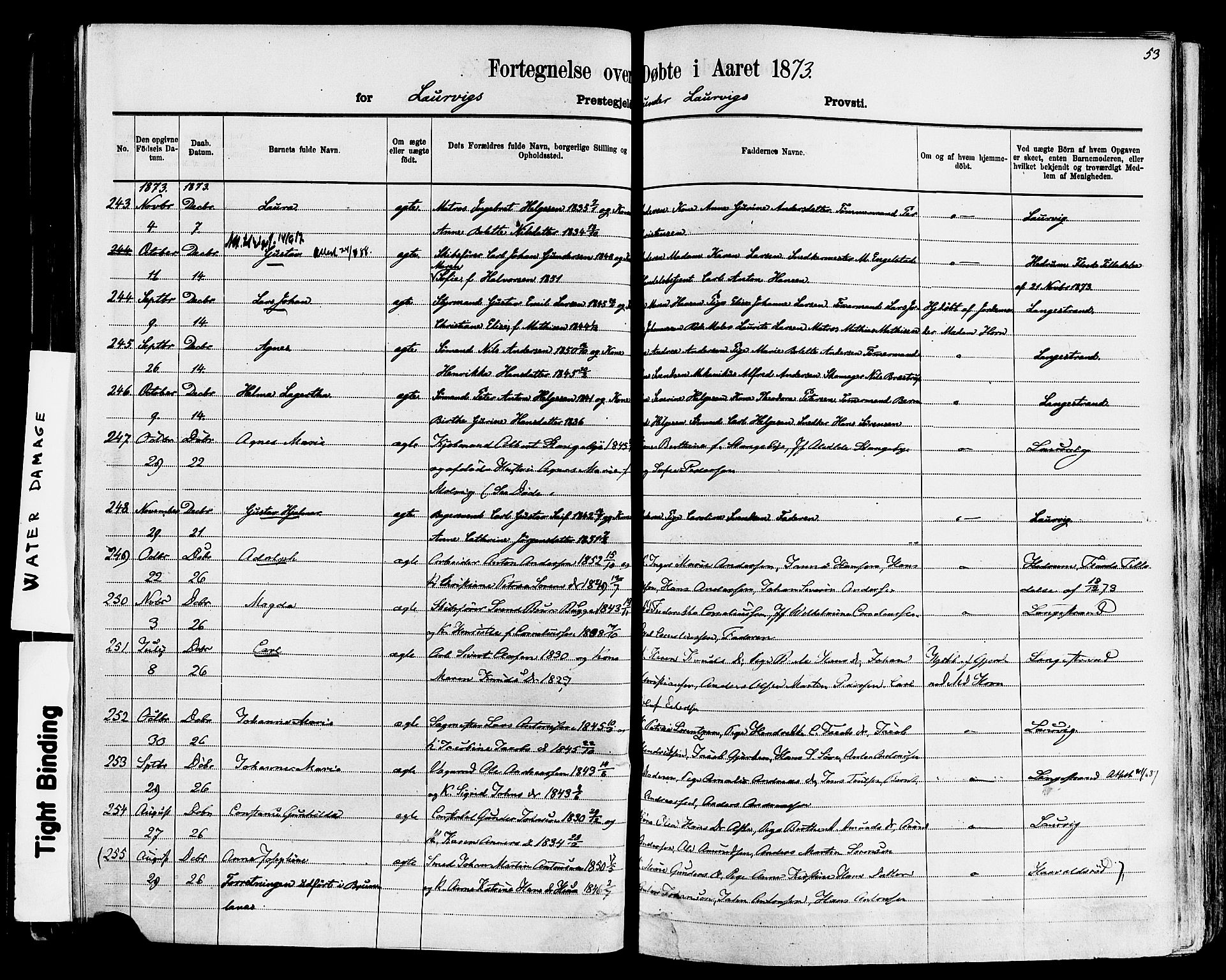 Larvik kirkebøker, AV/SAKO-A-352/F/Fa/L0006: Parish register (official) no. I 6, 1871-1883, p. 53