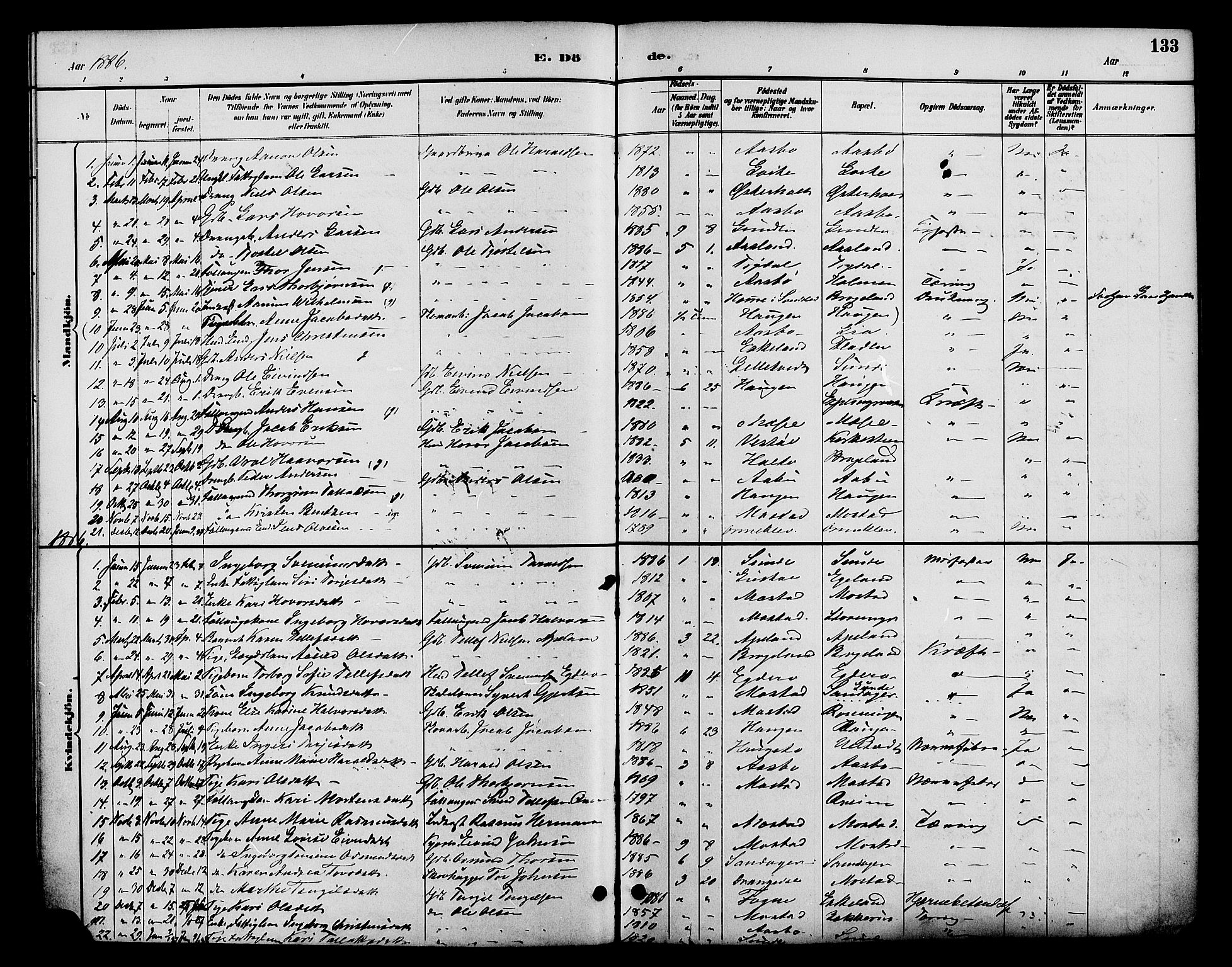 Gjerstad sokneprestkontor, AV/SAK-1111-0014/F/Fa/Faa/L0009: Parish register (official) no. A 9, 1885-1890, p. 133