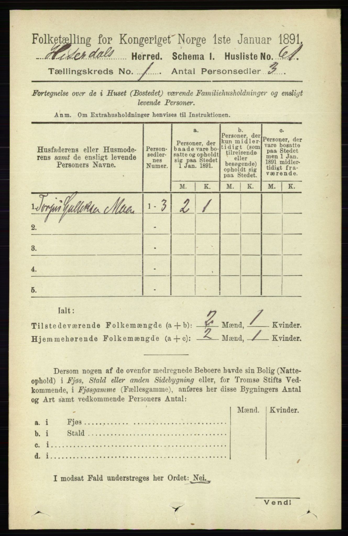 RA, 1891 census for 0823 Heddal, 1891, p. 91