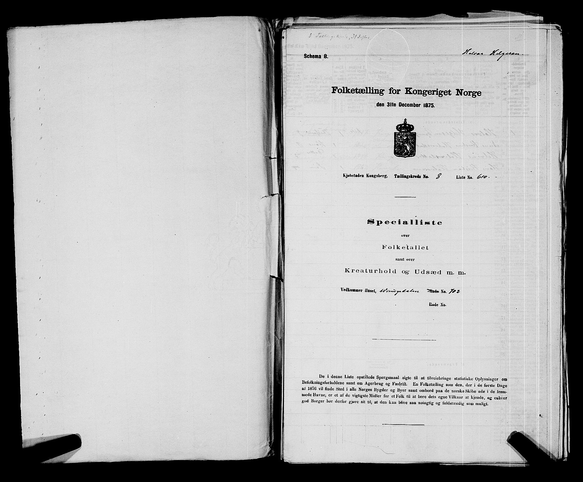 SAKO, 1875 census for 0604B Kongsberg/Kongsberg, 1875, p. 1347