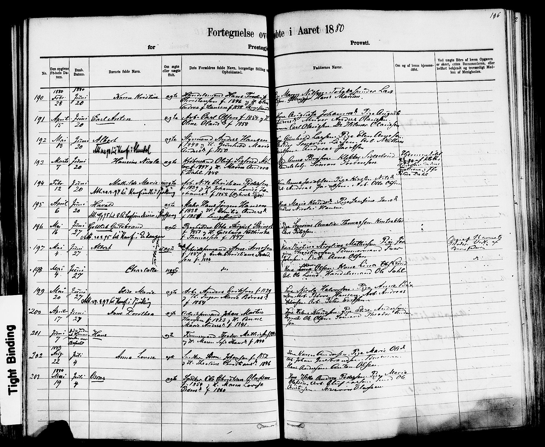 Larvik kirkebøker, AV/SAKO-A-352/F/Fa/L0006: Parish register (official) no. I 6, 1871-1883, p. 196