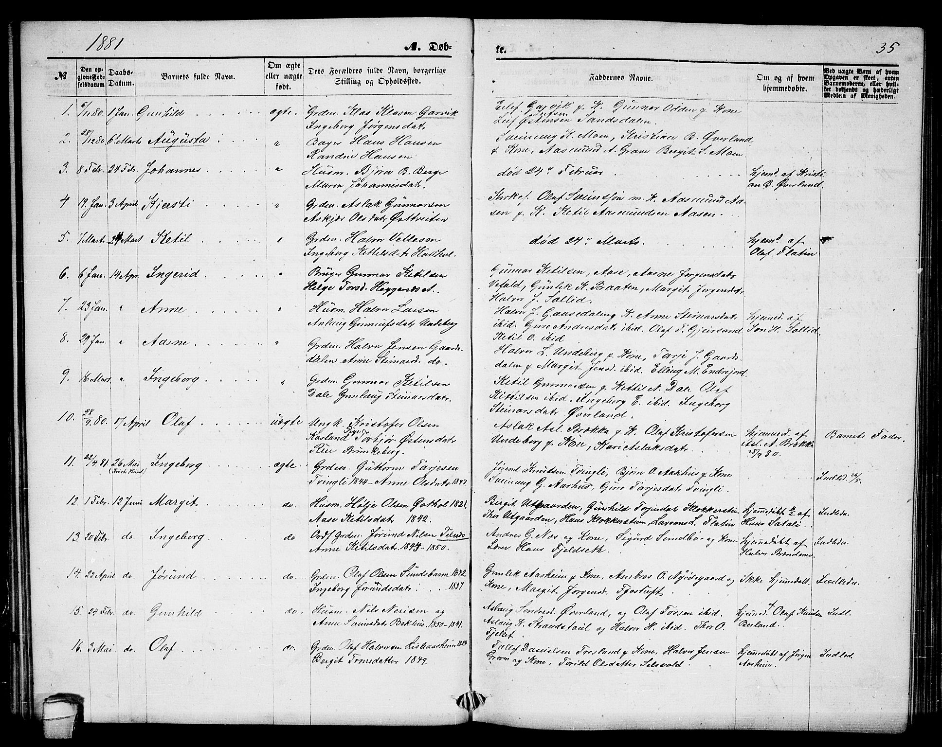 Seljord kirkebøker, SAKO/A-20/G/Ga/L0004: Parish register (copy) no. I 4, 1873-1886, p. 35