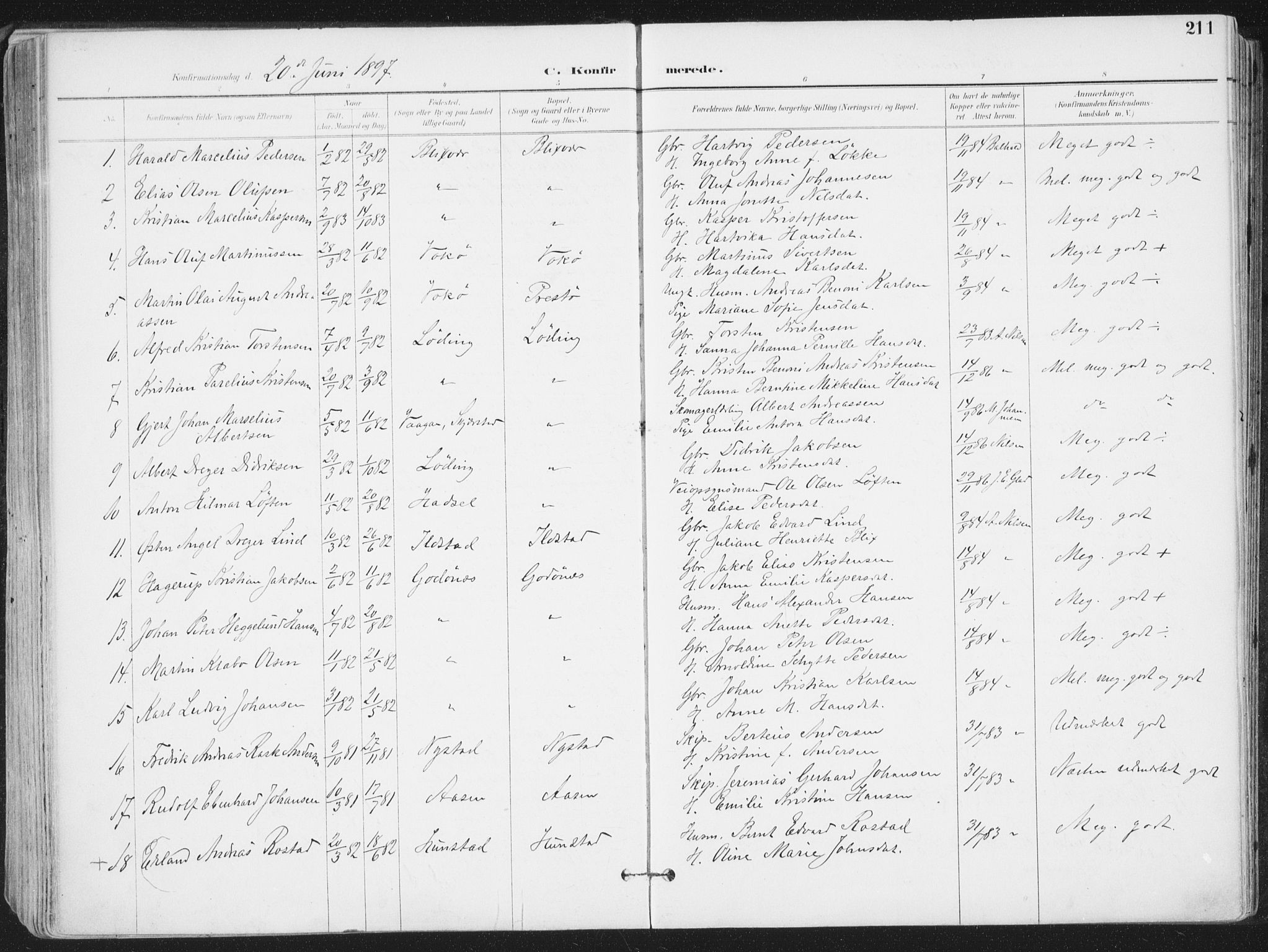 Ministerialprotokoller, klokkerbøker og fødselsregistre - Nordland, AV/SAT-A-1459/802/L0055: Parish register (official) no. 802A02, 1894-1915, p. 211