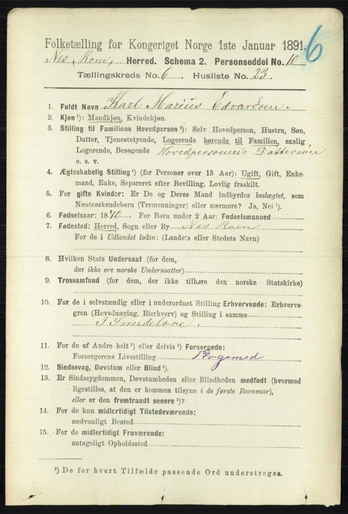 RA, 1891 census for 0236 Nes, 1891, p. 3517
