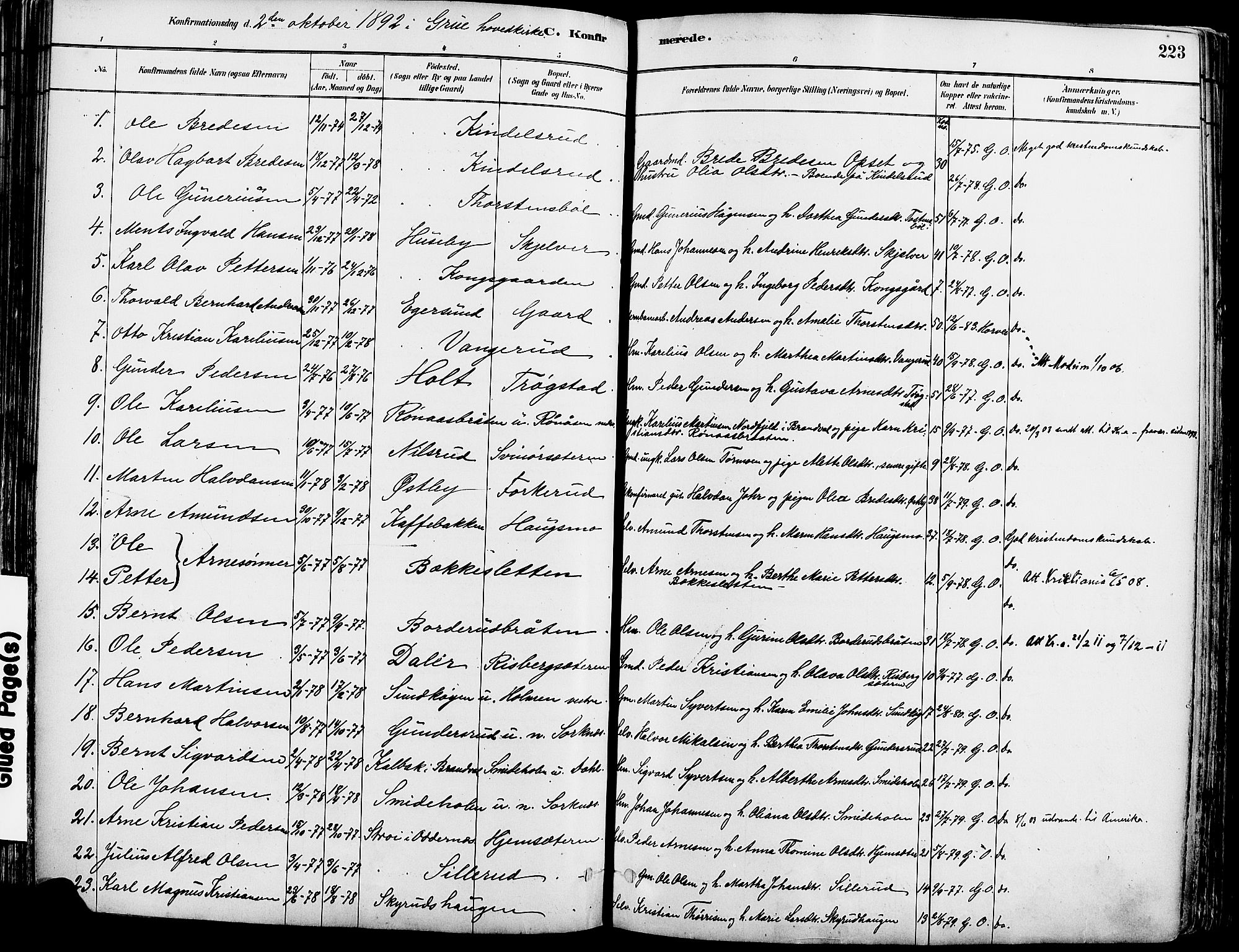 Grue prestekontor, SAH/PREST-036/H/Ha/Haa/L0012: Parish register (official) no. 12, 1881-1897, p. 223