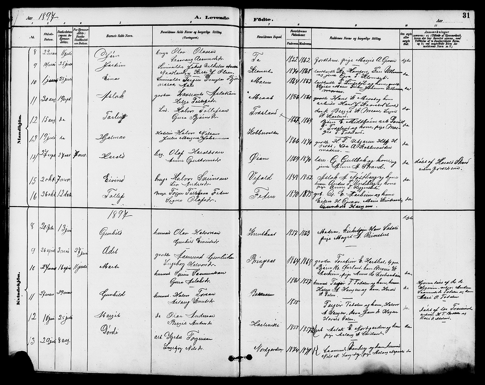 Seljord kirkebøker, SAKO/A-20/G/Ga/L0005: Parish register (copy) no. I 5, 1887-1914, p. 31