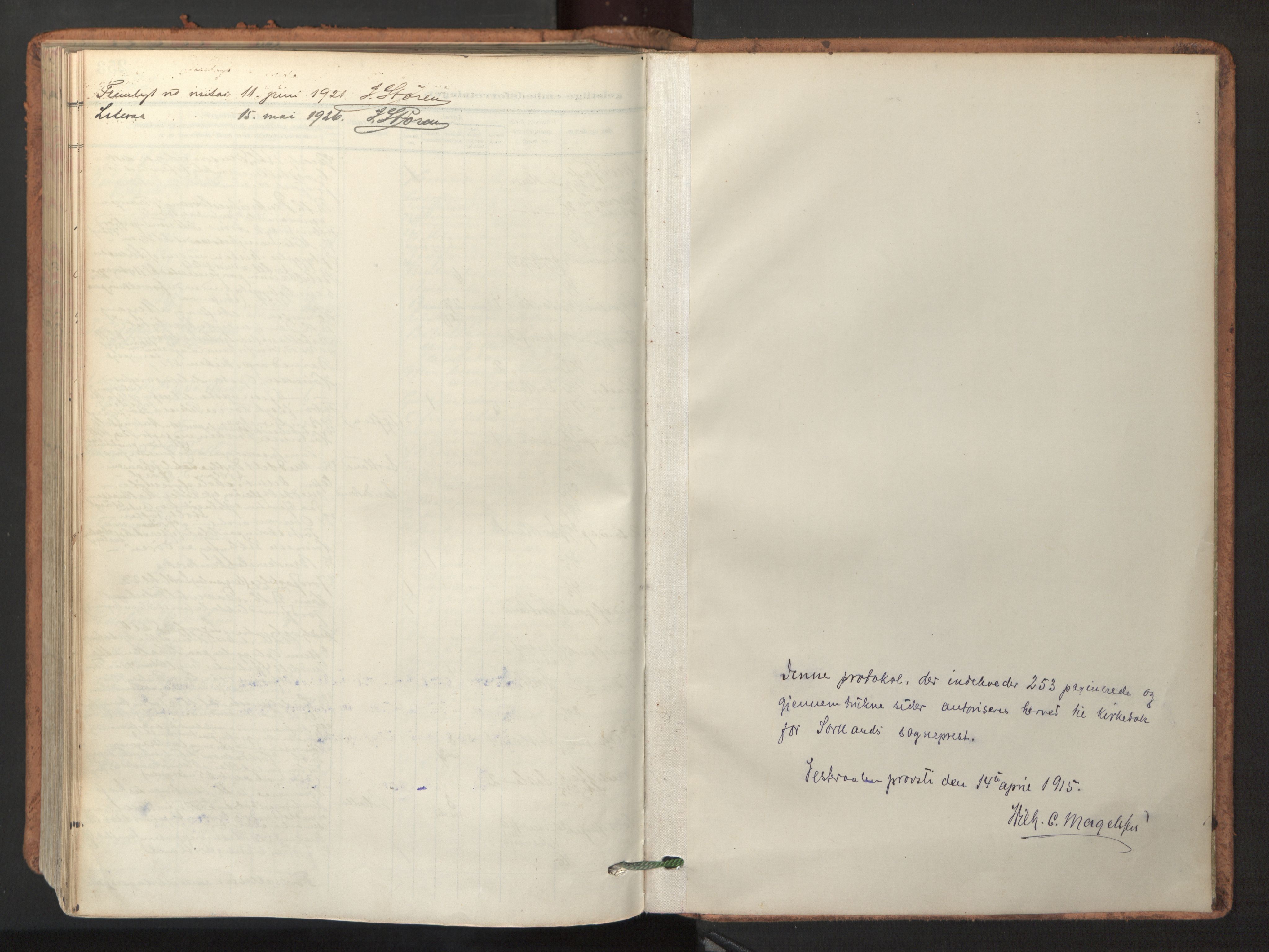 Ministerialprotokoller, klokkerbøker og fødselsregistre - Nordland, SAT/A-1459/895/L1374: Parish register (official) no. 895A09, 1915-1925