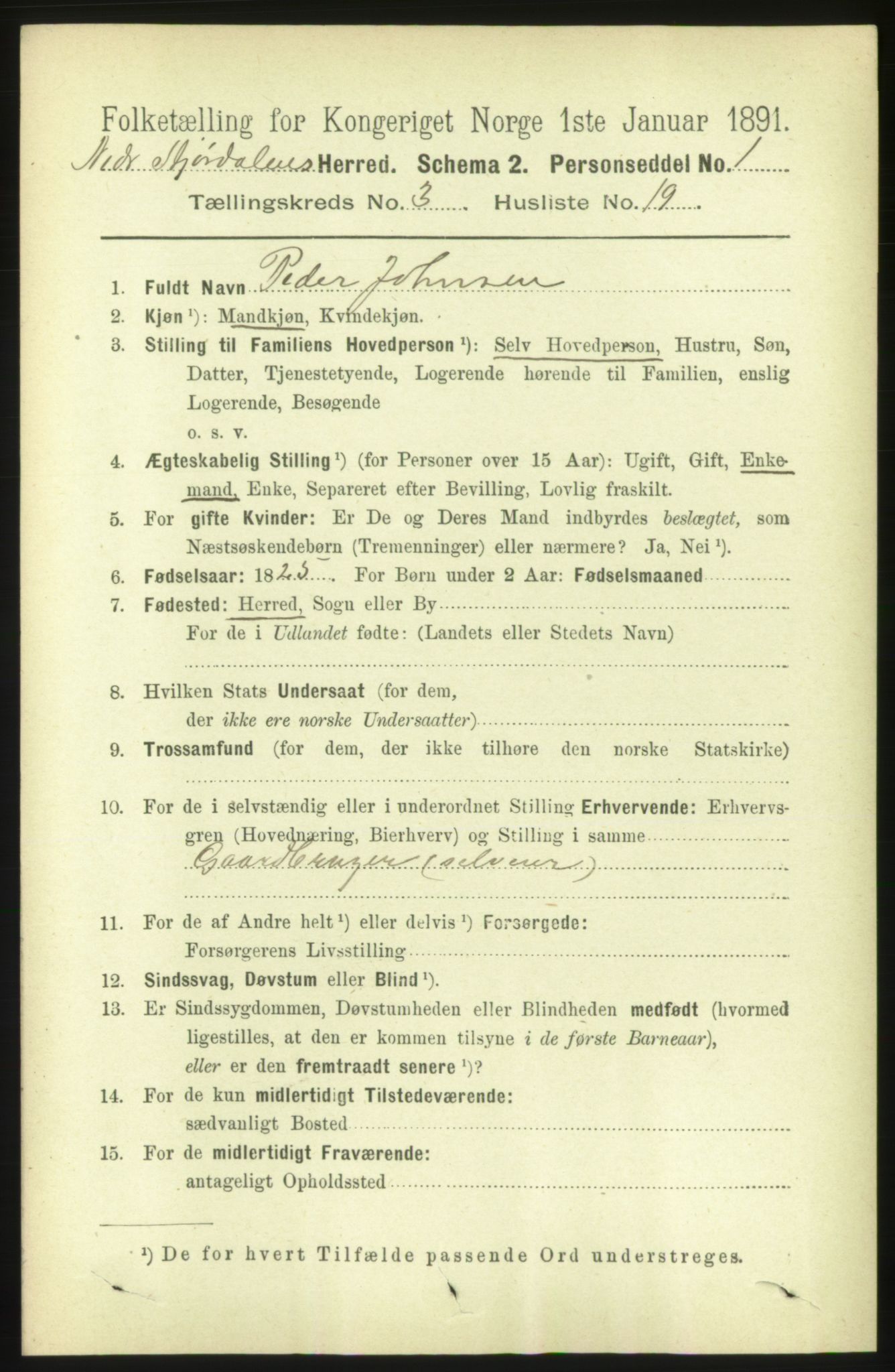 RA, 1891 census for 1714 Nedre Stjørdal, 1891, p. 1163