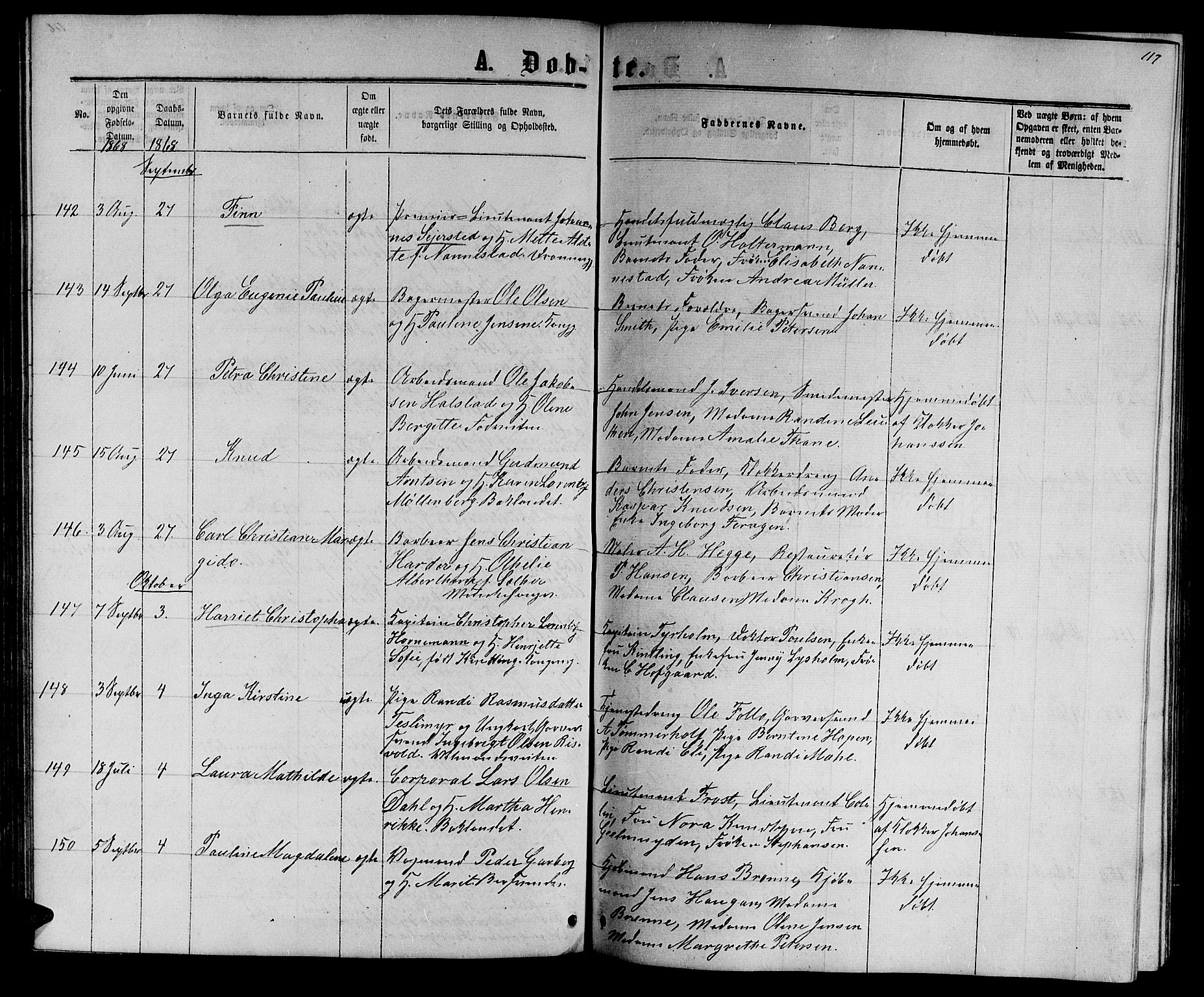 Ministerialprotokoller, klokkerbøker og fødselsregistre - Sør-Trøndelag, AV/SAT-A-1456/601/L0087: Parish register (copy) no. 601C05, 1864-1881, p. 117