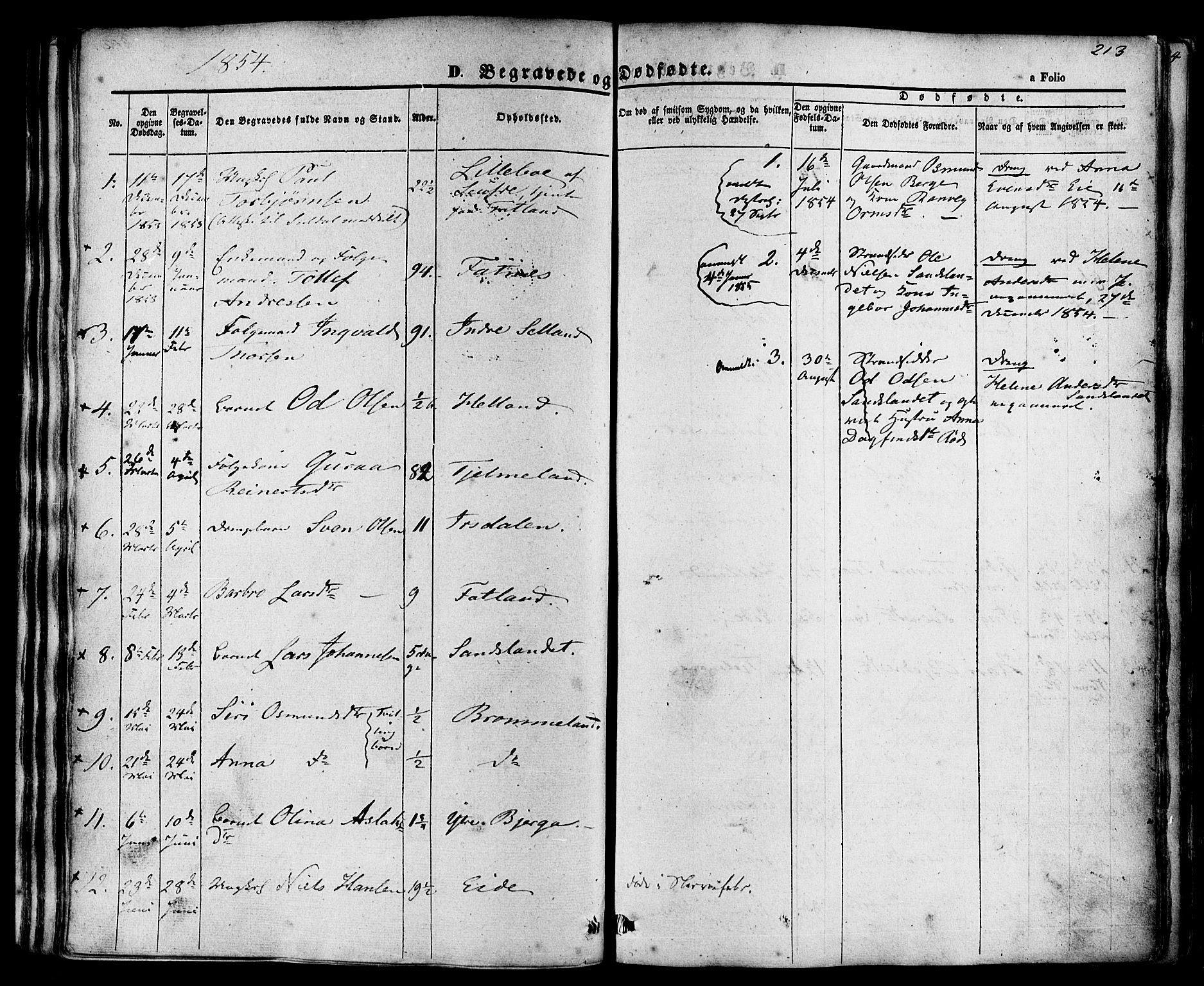 Sand sokneprestkontor, SAST/A-101848/01/III/L0003: Parish register (official) no. A 3, 1854-1879, p. 213