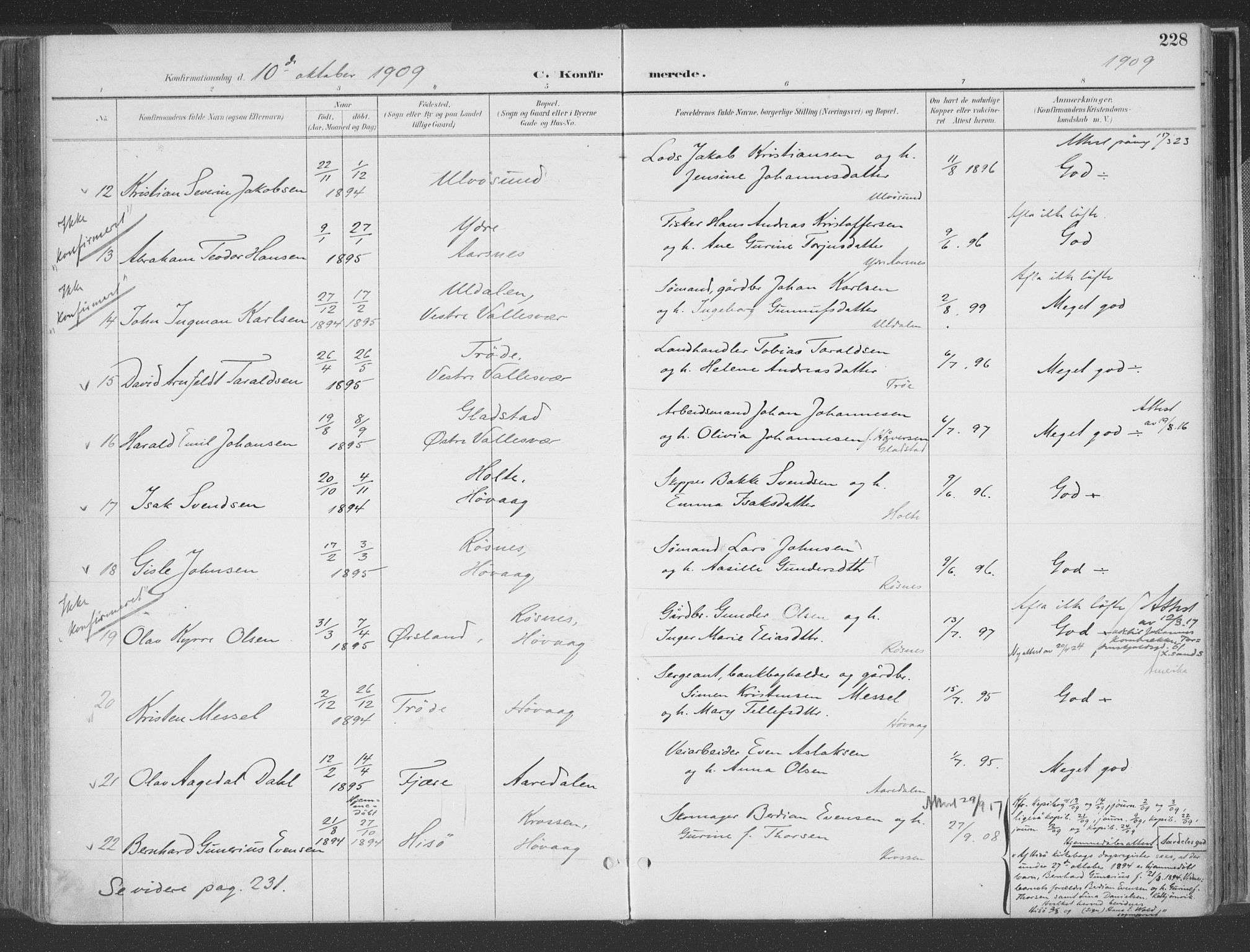 Høvåg sokneprestkontor, AV/SAK-1111-0025/F/Fa/L0006: Parish register (official) no. A 6, 1894-1923, p. 228