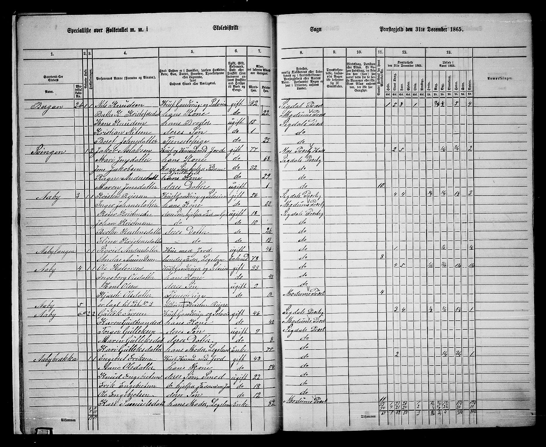 RA, 1865 census for Sigdal, 1865, p. 20