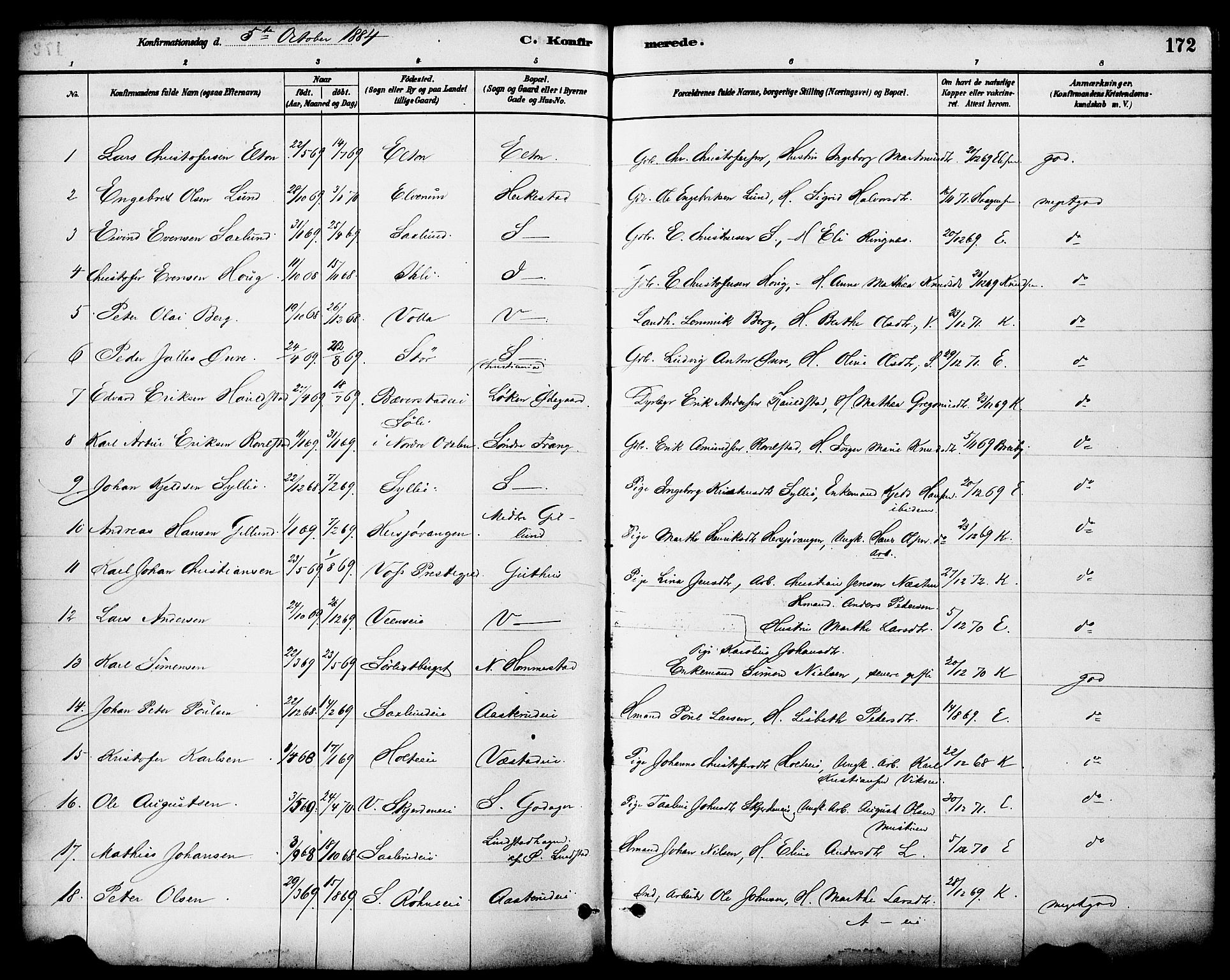 Stange prestekontor, AV/SAH-PREST-002/K/L0017: Parish register (official) no. 17, 1880-1893, p. 172