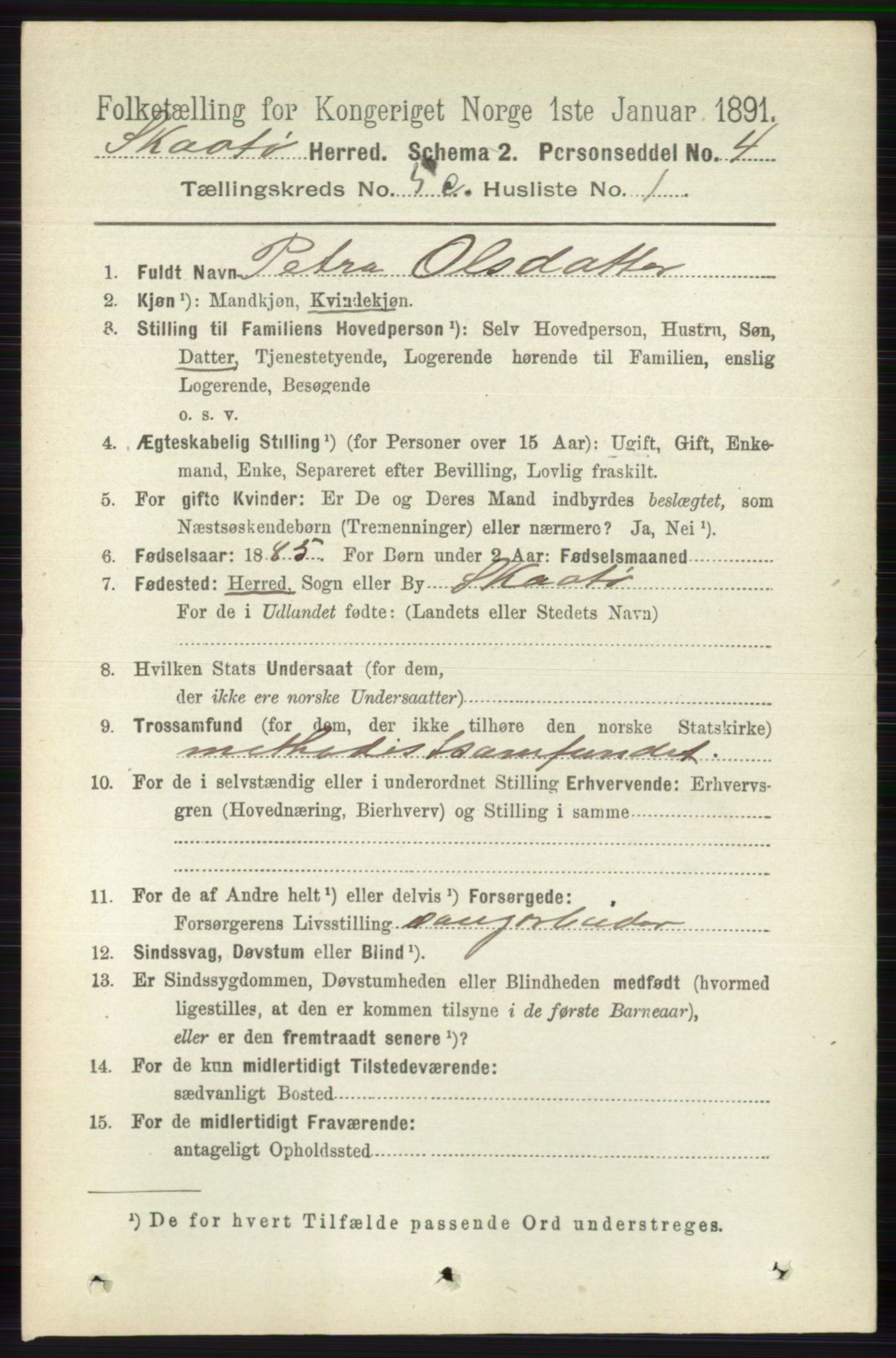 RA, 1891 census for 0815 Skåtøy, 1891, p. 2677