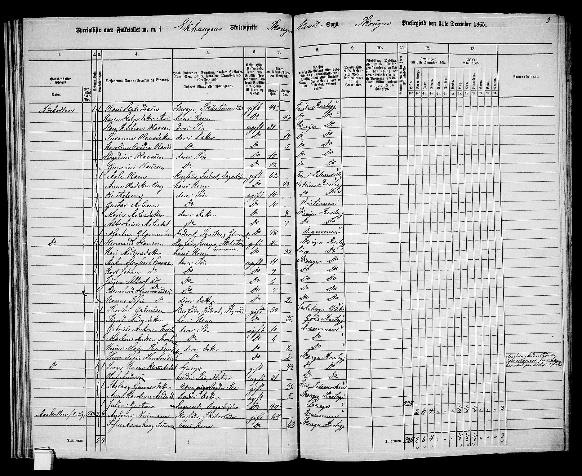 RA, 1865 census for Skoger, 1865, p. 47