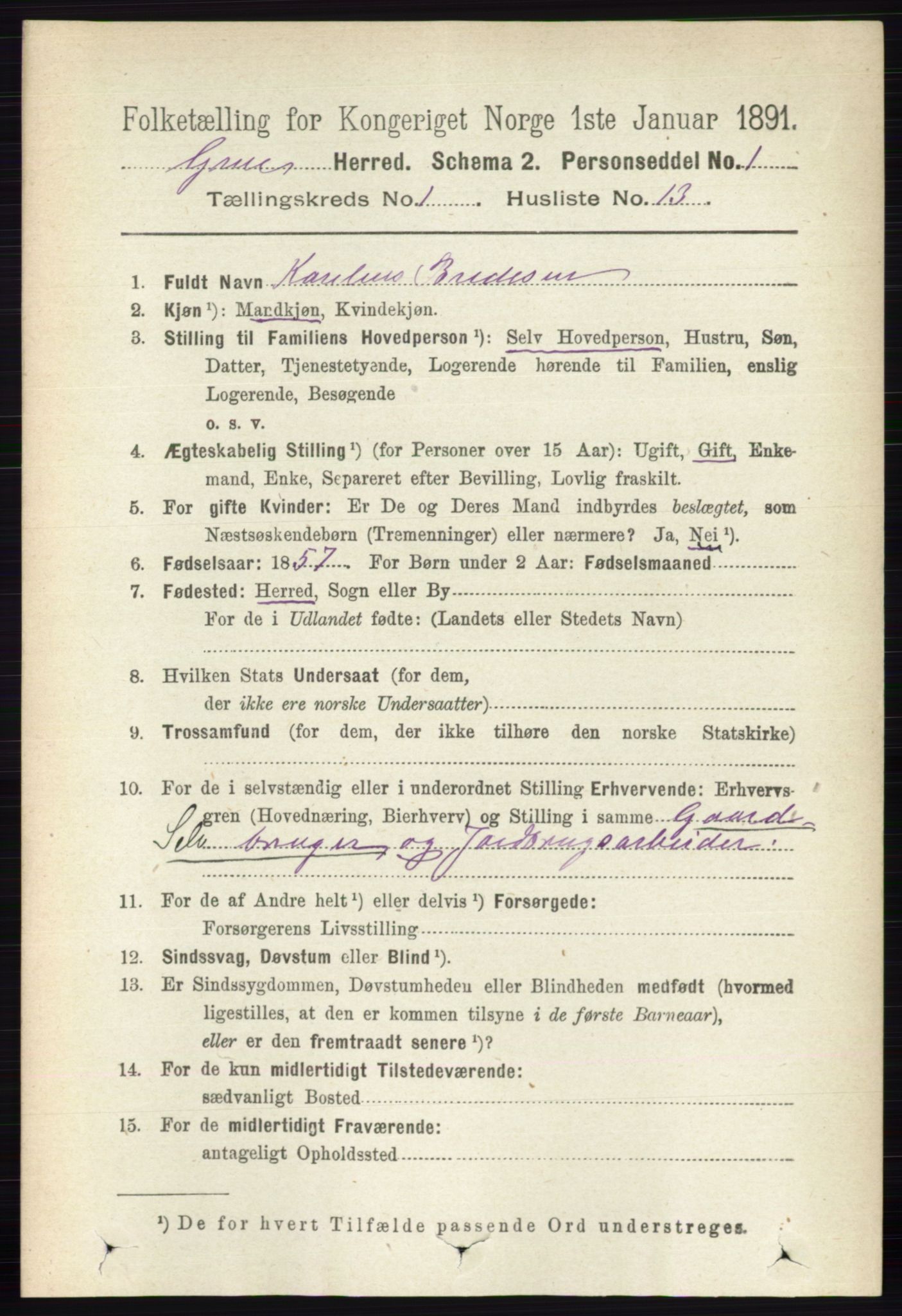 RA, 1891 census for 0423 Grue, 1891, p. 266