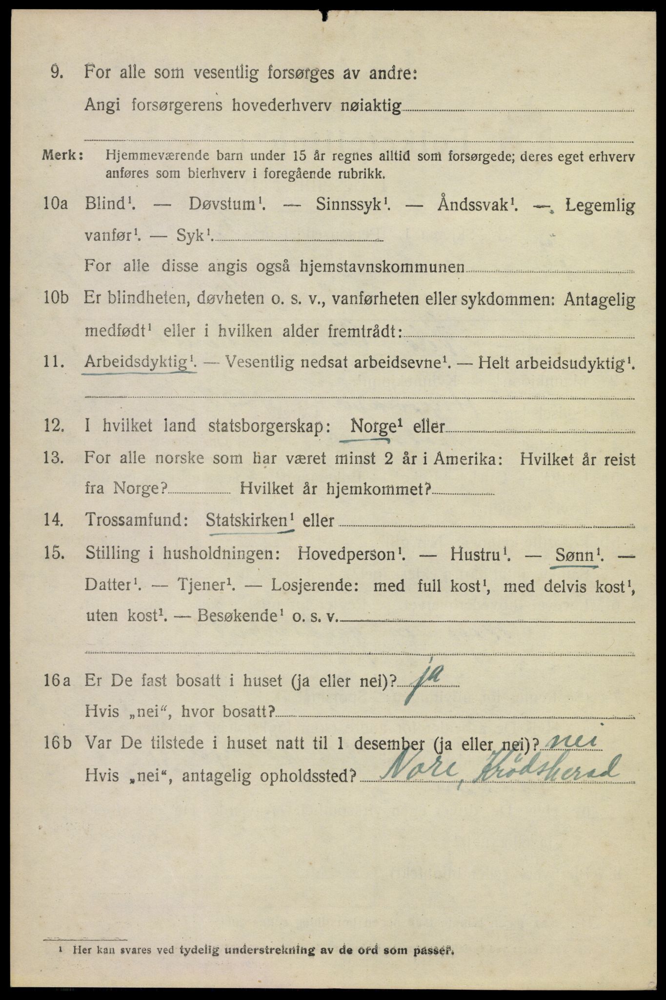 SAKO, 1920 census for Krødsherad, 1920, p. 4942