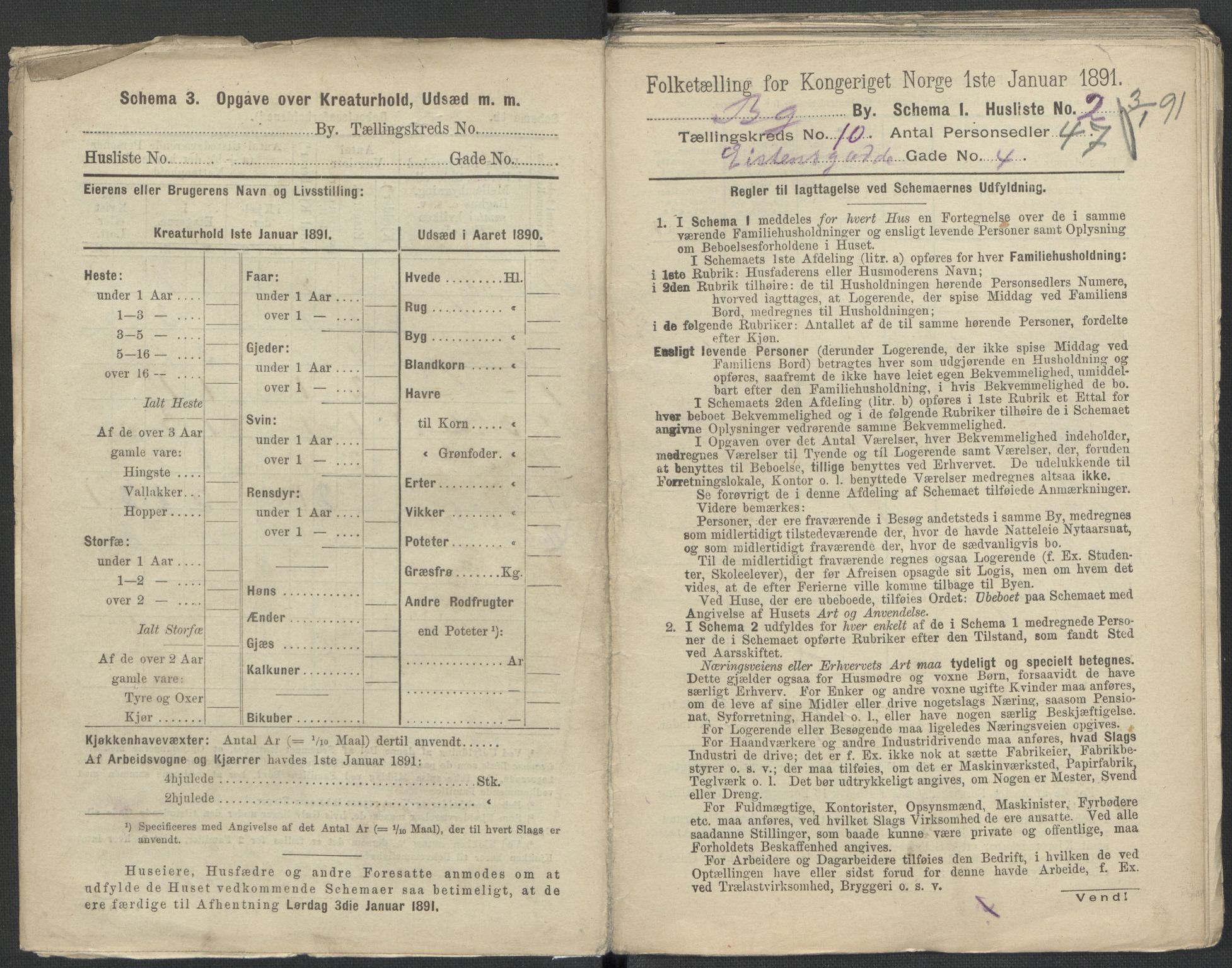 RA, 1891 Census for 1301 Bergen, 1891, p. 1596